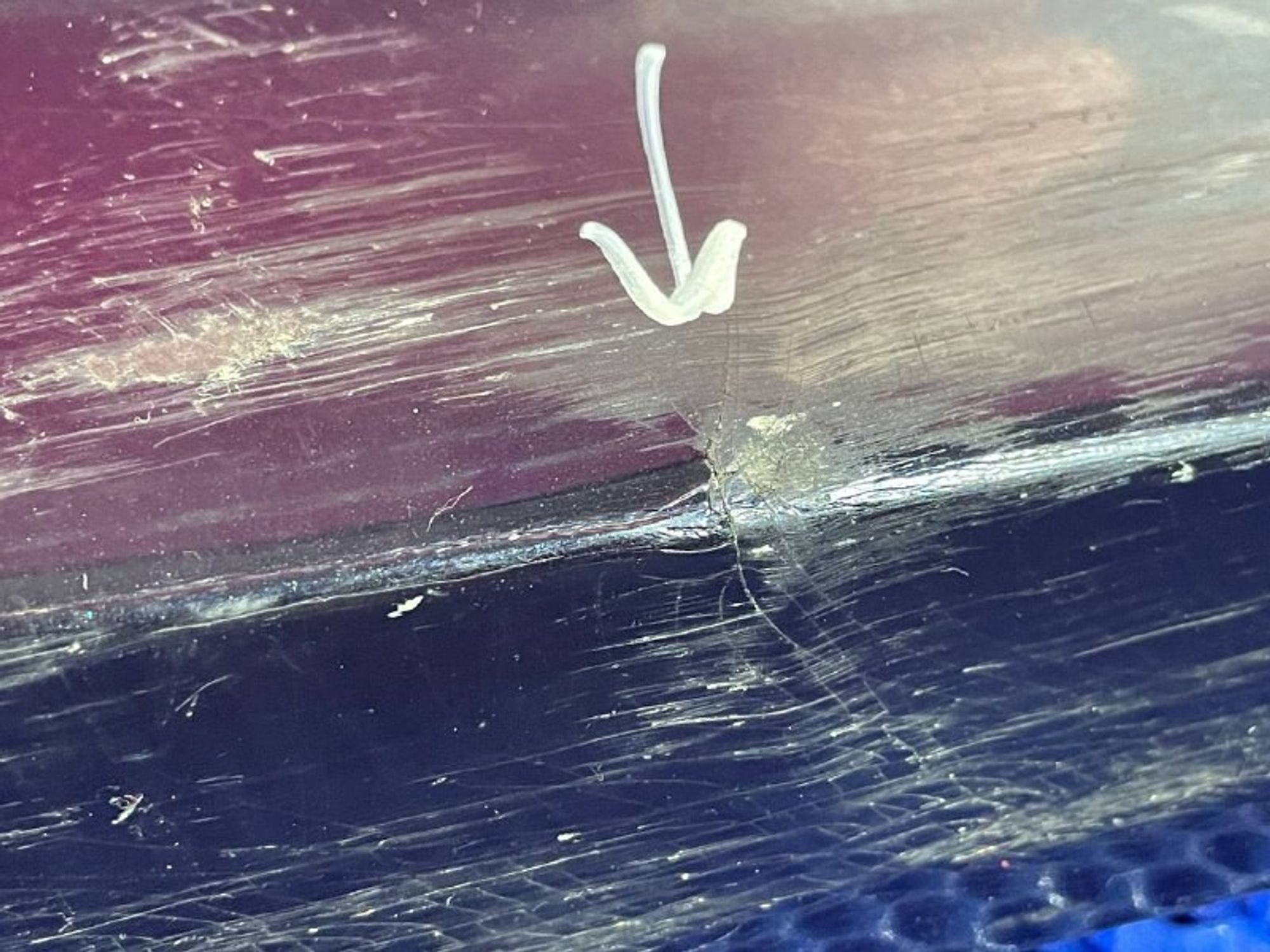 51138064794 Молдинг двери передней правой R BMW X3 G01, 900 рублей, Нижний Новгород