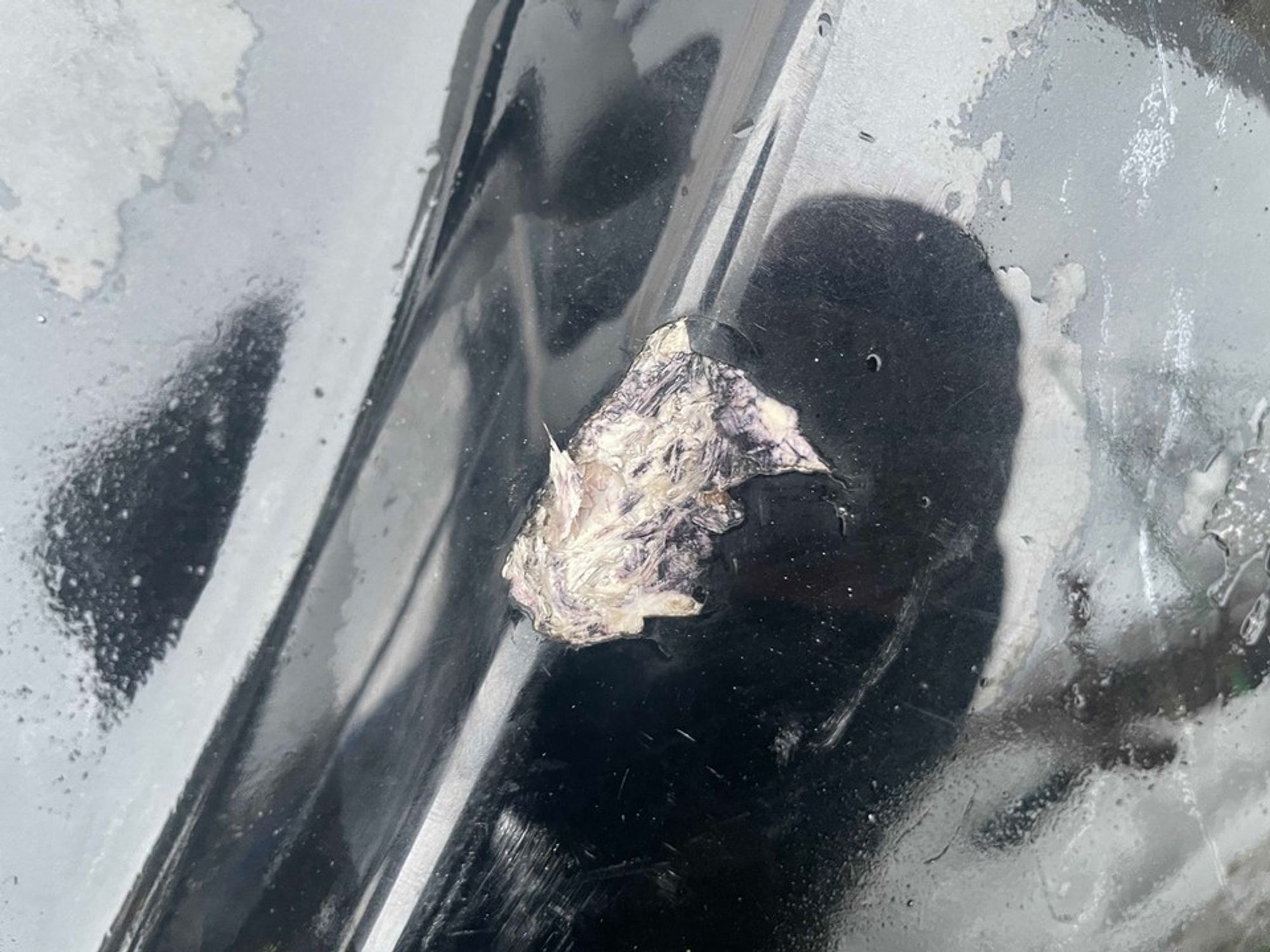 41S27301497 Крышка багажника Rolls Royce Volkswagen Golf VI, 45000 рублей, Нижний Новгород