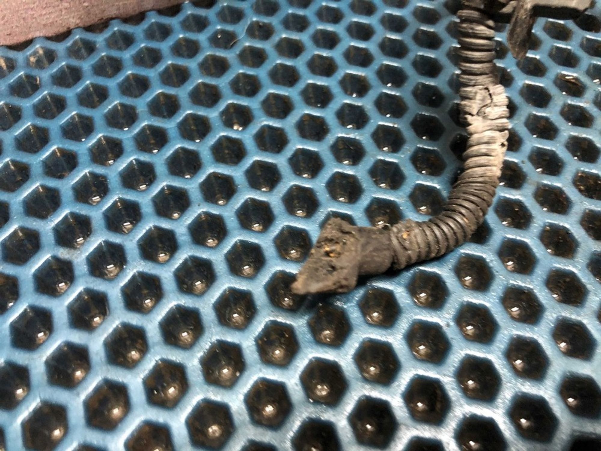 391802B100 Датчик положения коленвала Hyundai Solaris I, 400 рублей, Нижний Новгород