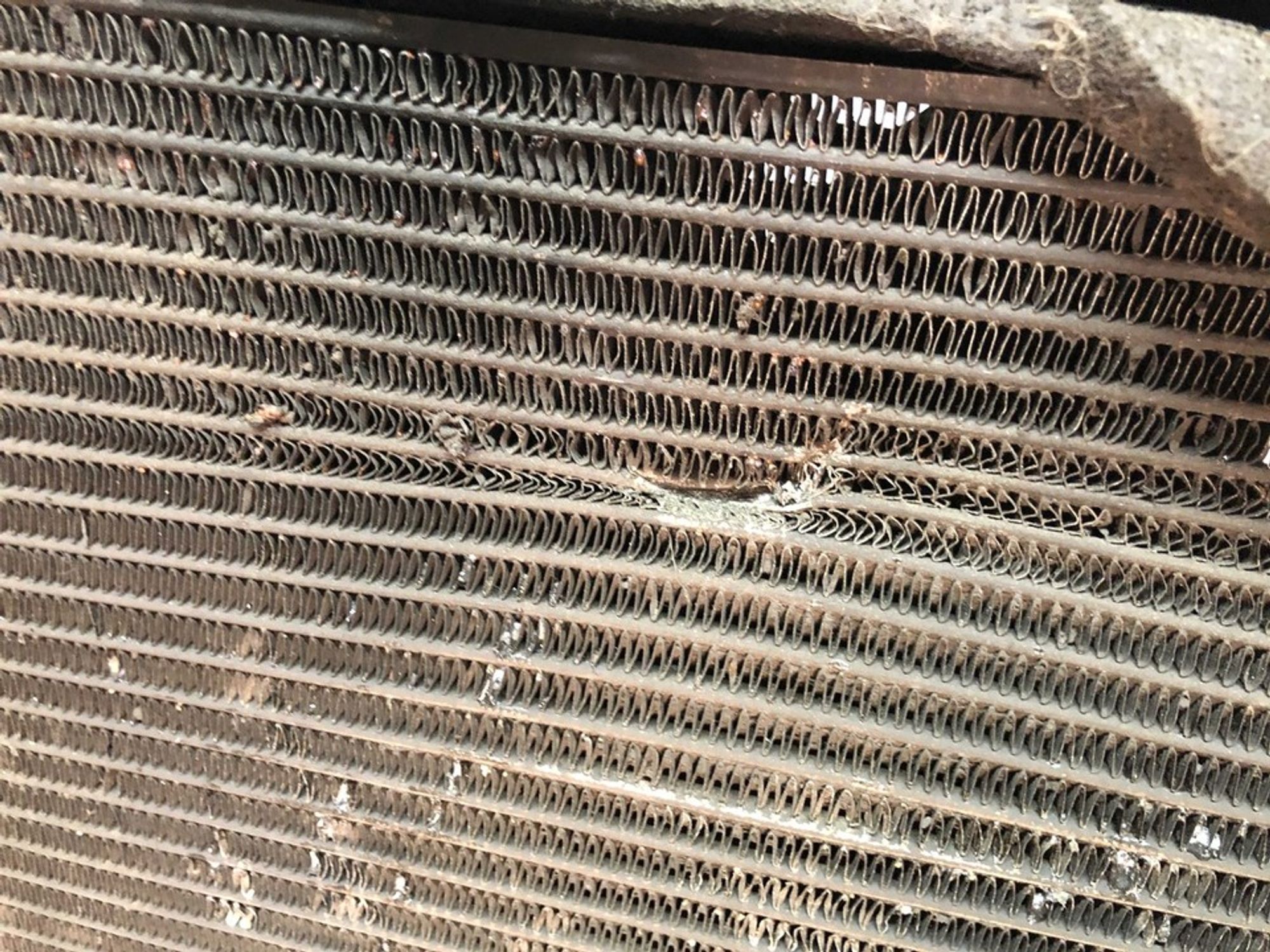 4S6H8005DA Радиатор системы охлаждения Ford Fiesta V, 2500 рублей, Нижний Новгород