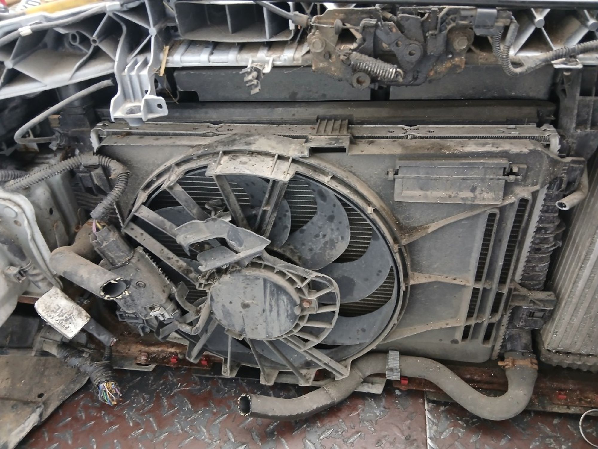 Ноускат (Nose Cut) Ford Focus 3, 100000 рублей, Ростов-на-Дону