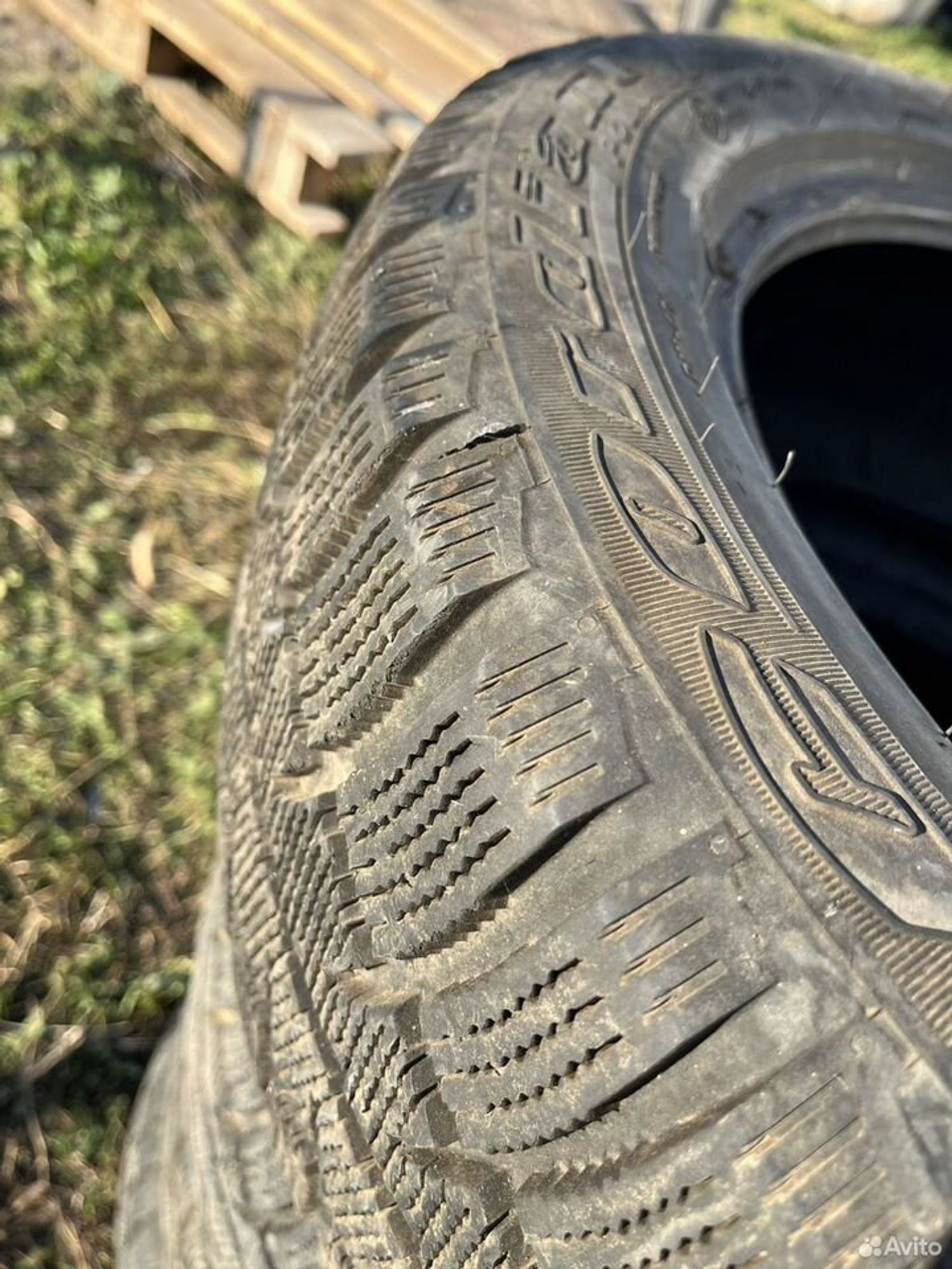 Cordiant Polar SL 205/55 R16 94T, 9900 рублей, Семиозерка