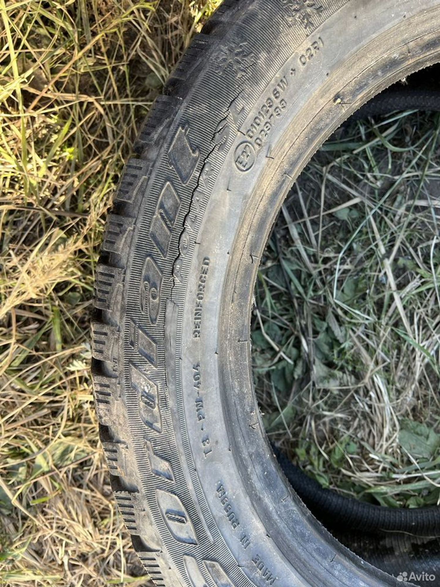 Cordiant Polar SL 205/55 R16 94T, 9900 рублей, Семиозерка