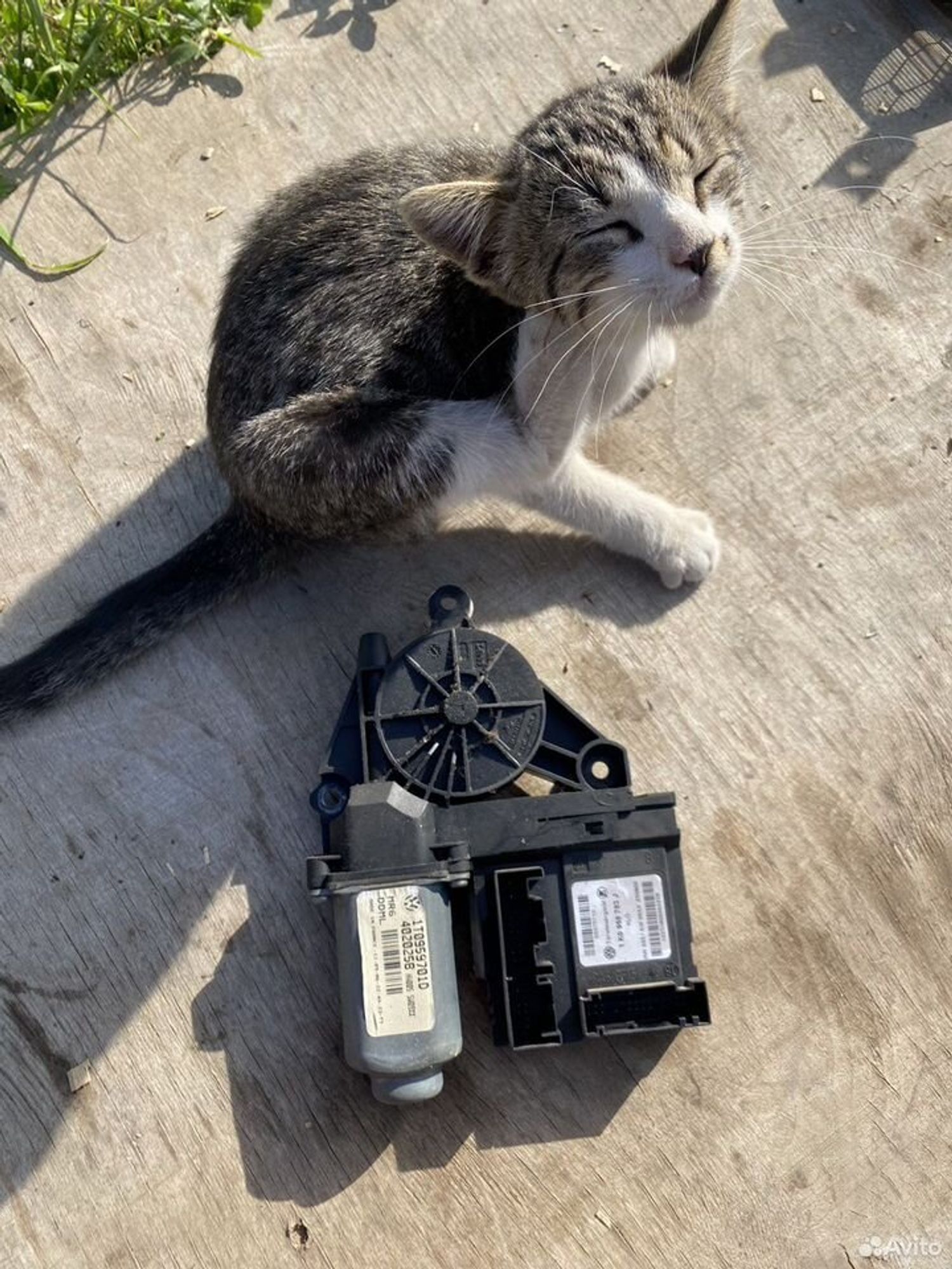 Моторчик стеклоподъемника skoda octavia a5, 3500 рублей, Семиозерка