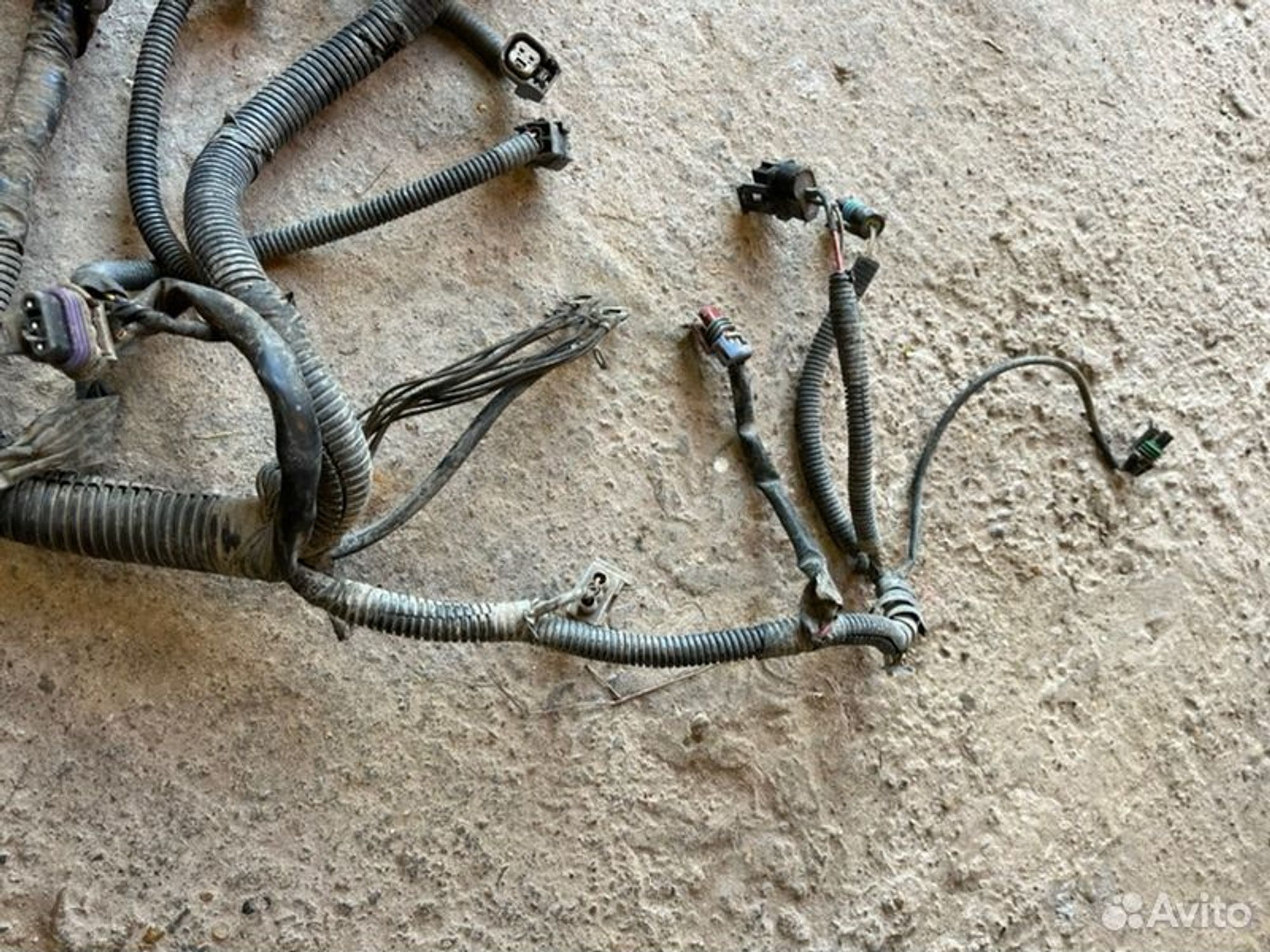 Проводка двс Chevrolet Aveo T250 F14D3 2006, 3000 рублей, Семиозерка