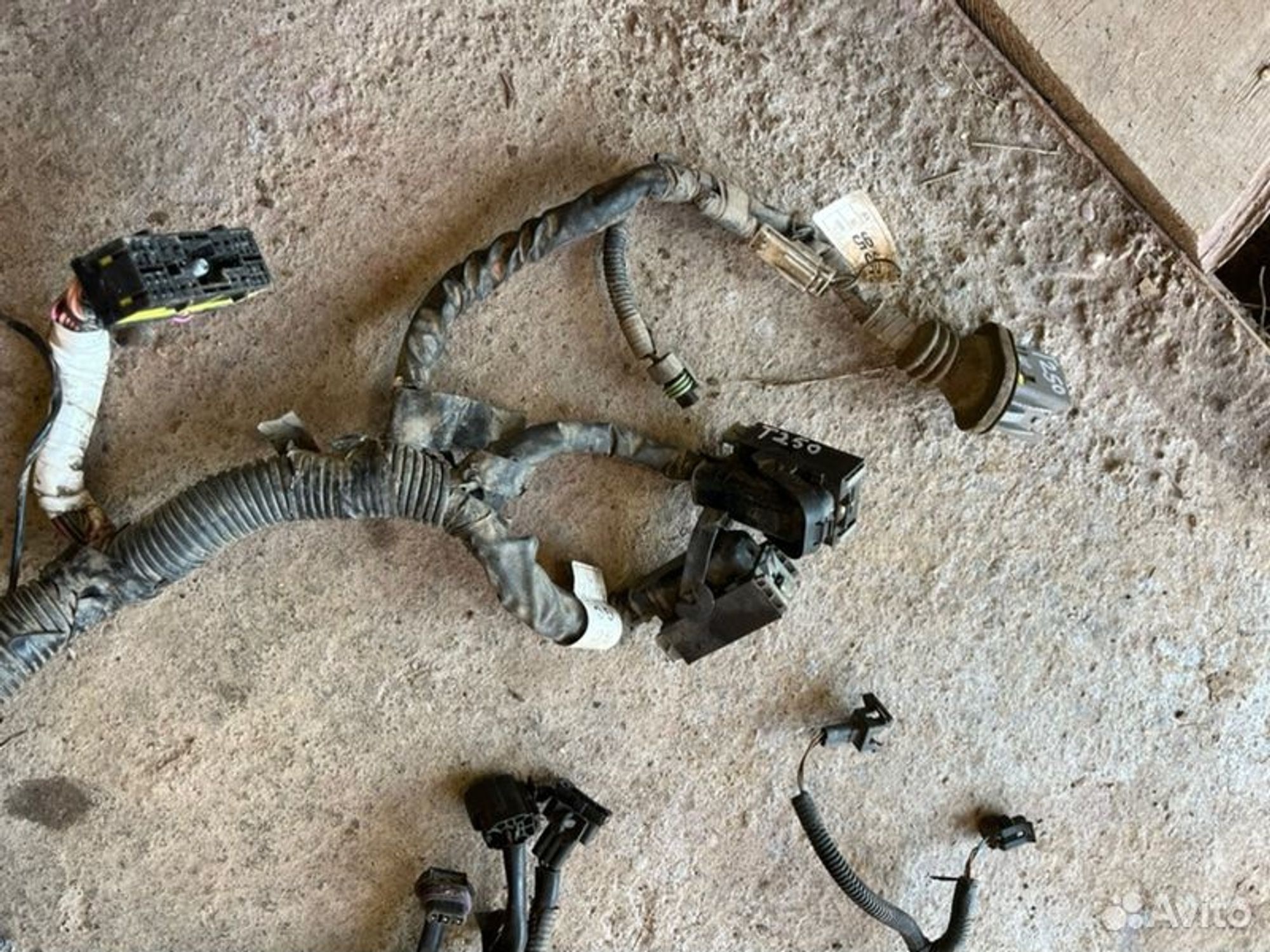 Проводка двс Chevrolet Aveo T250 F14D3 2006, 3000 рублей, Семиозерка