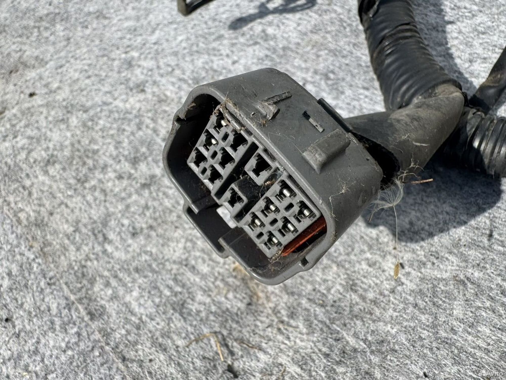 Проводка двигателя Mazda 3 bk 2.3, 4500 рублей, Семиозерка