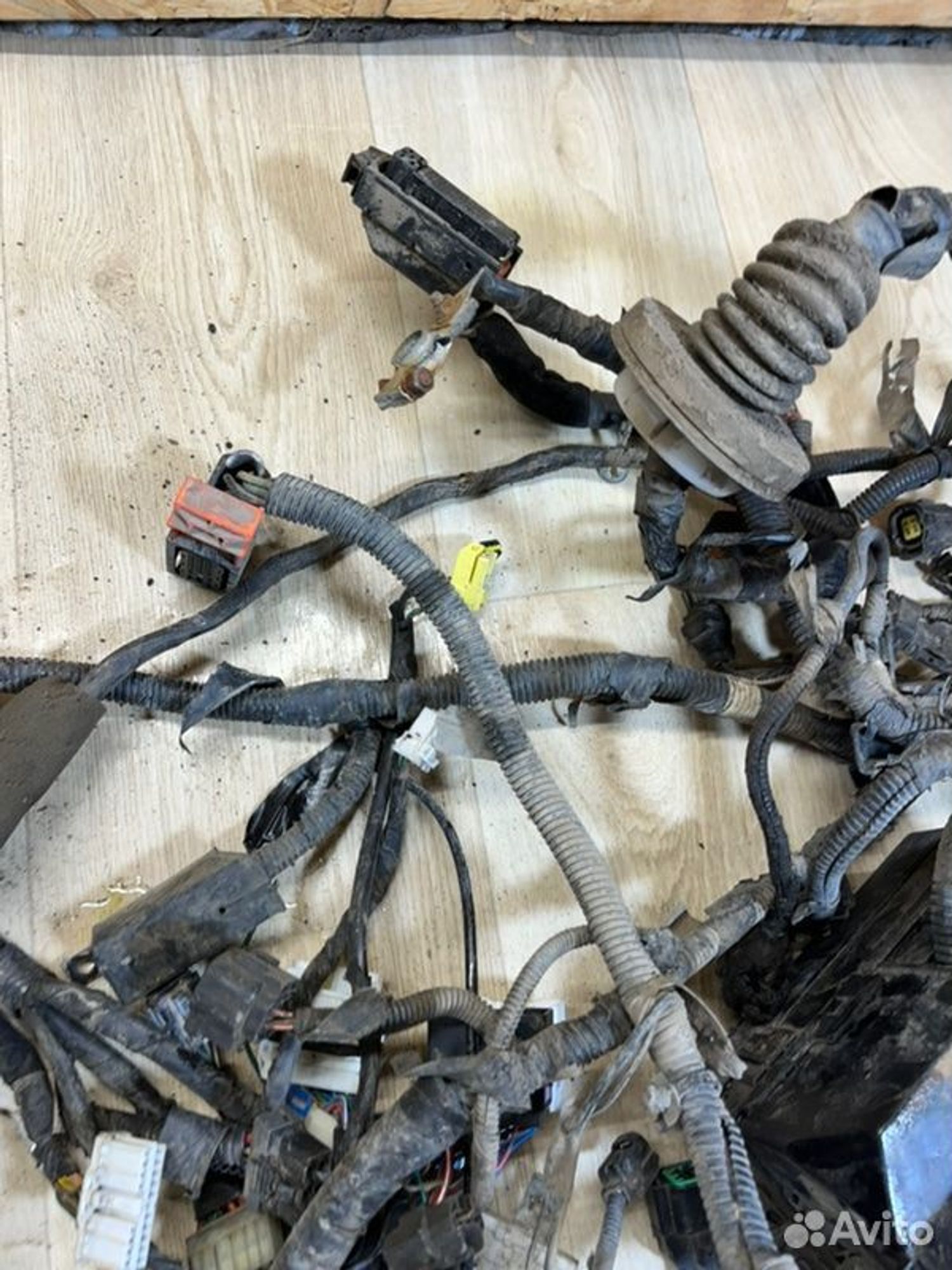 Проводка двс Kia Spectra SD S6D 2007, 5000 рублей, Семиозерка