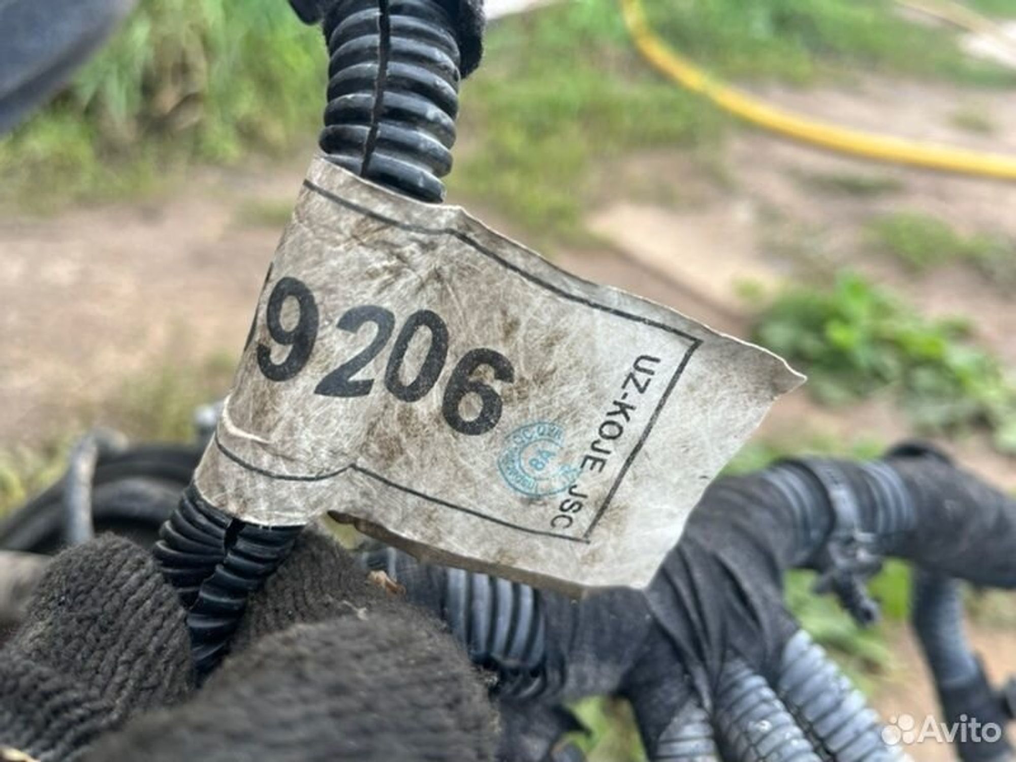 Проводка двс Chevrolet Cobalt B15D2 2015, 8000 рублей, Семиозерка