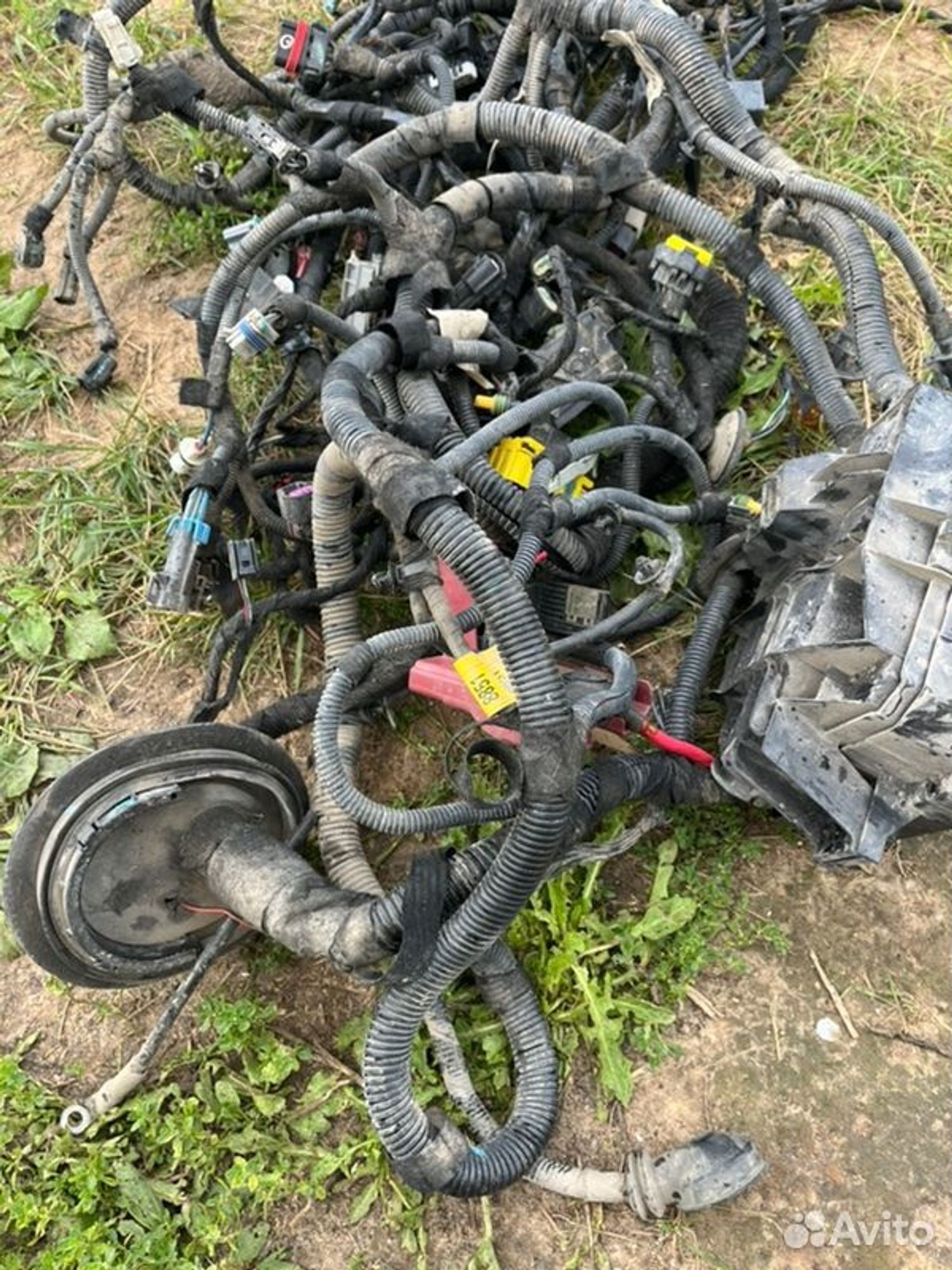 Проводка двс Chevrolet Cobalt B15D2 2015, 8000 рублей, Семиозерка