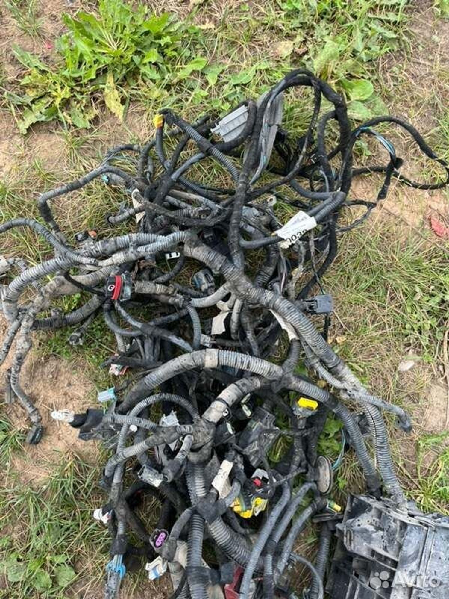 Проводка двс Chevrolet Cobalt B15D2 2015, 8000 рублей, Семиозерка