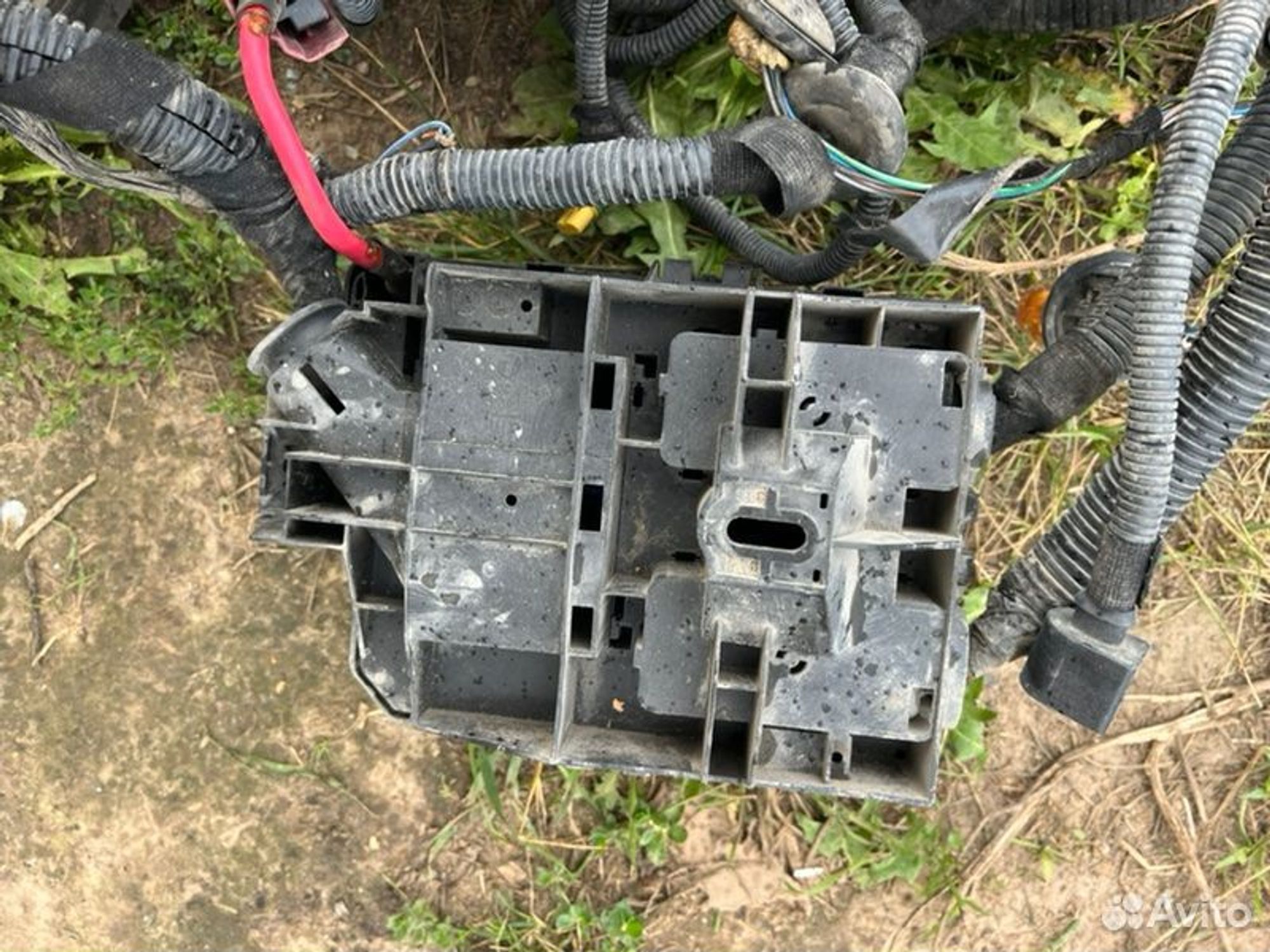 Проводка двс Chevrolet Cobalt B15D2 2015, 8000 рублей, Семиозерка