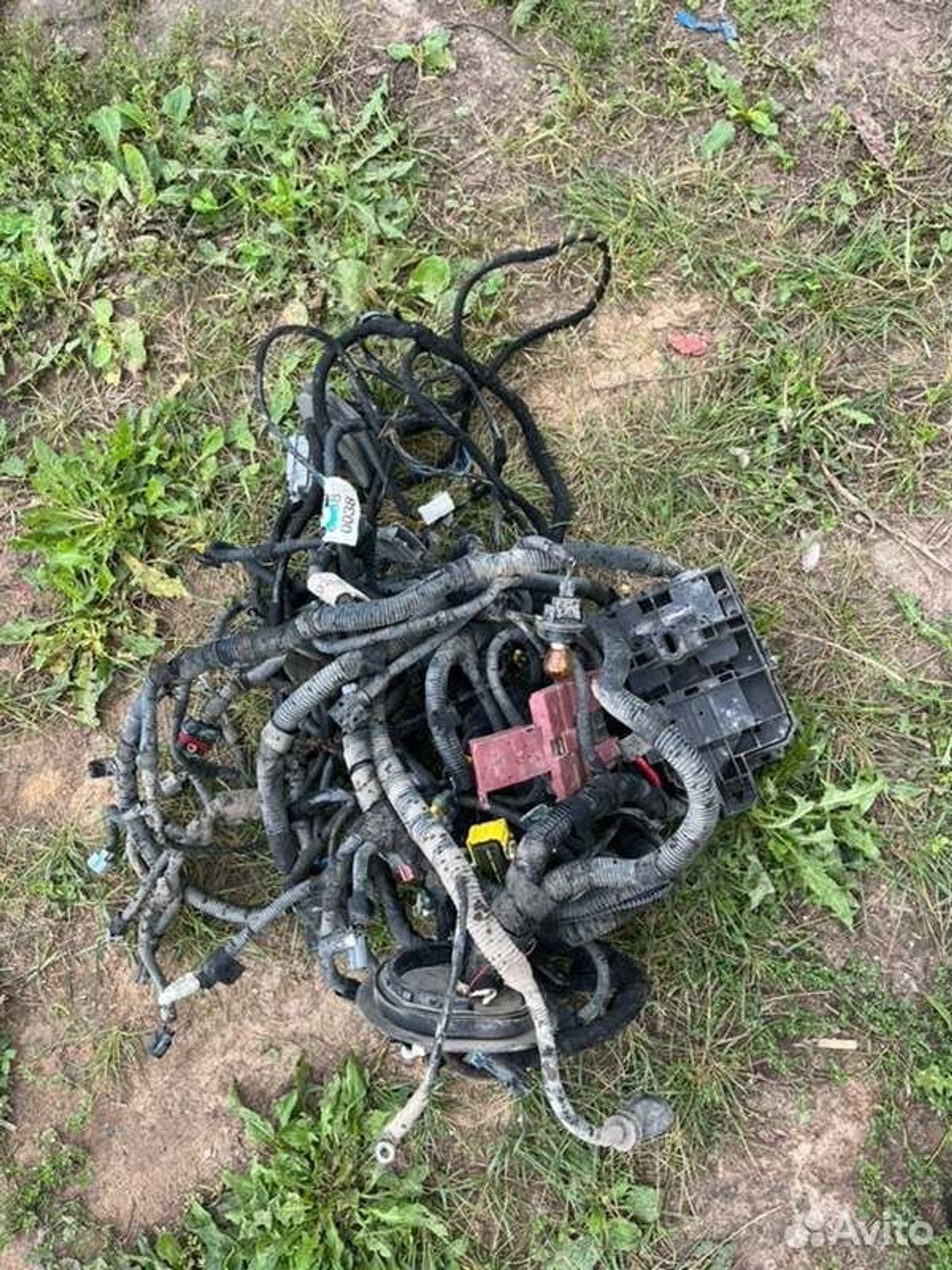 Проводка двс Chevrolet Cobalt B15D2 2015, 8000 рублей, Семиозерка