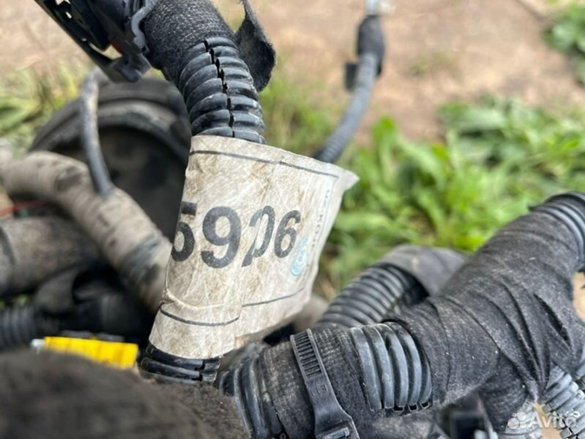 Проводка двс Chevrolet Cobalt B15D2 2015, 8000 рублей, Семиозерка