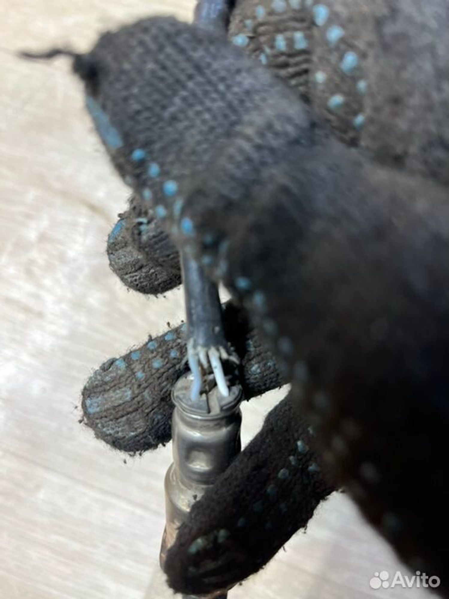 Датчик кислородный Chevrolet Aveo T250 F14D3 2006, 800 рублей, Семиозерка