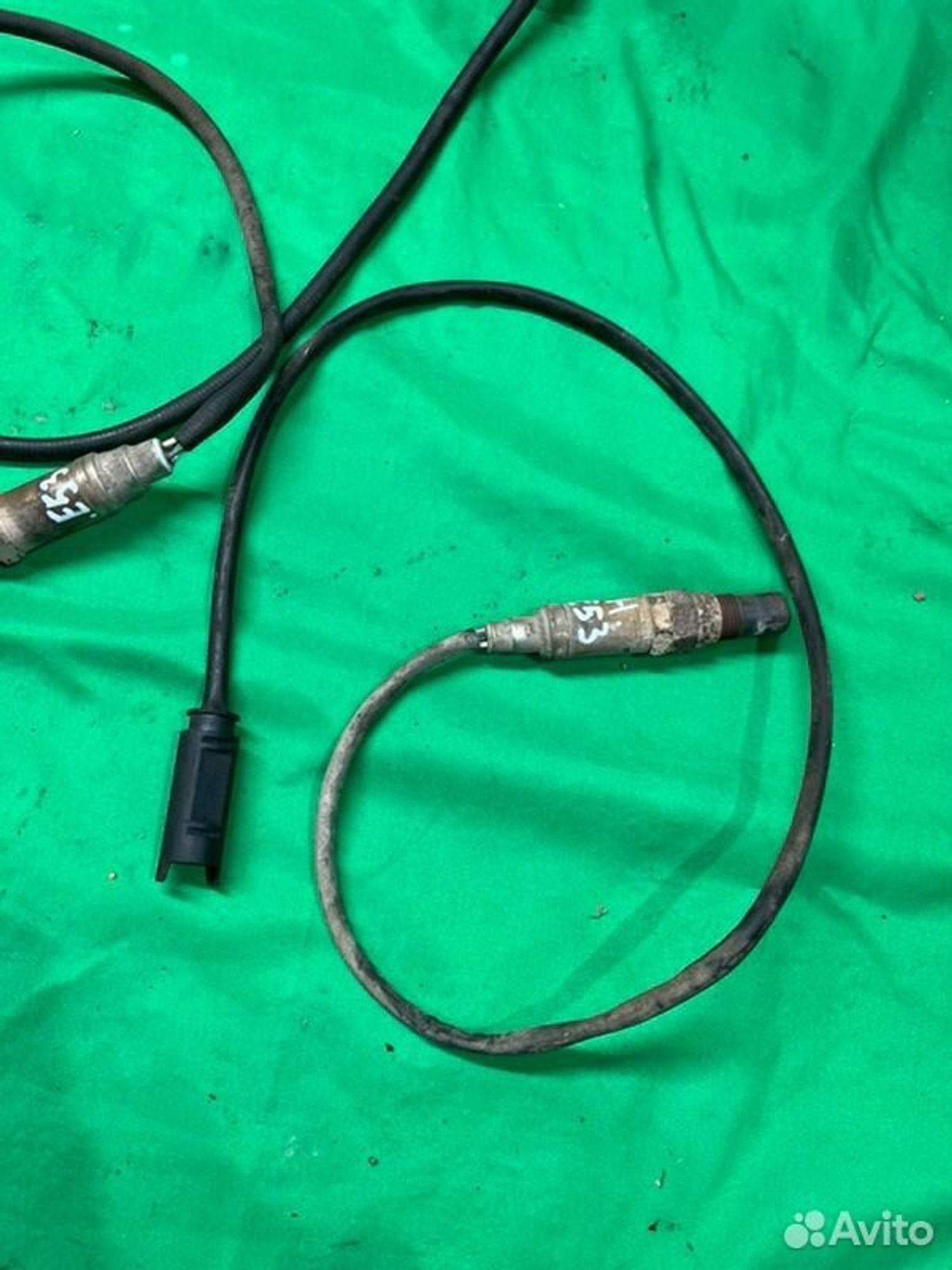 Датчик кислородный Bmw X5 E53 M54B30 2002, 2500 рублей, Семиозерка