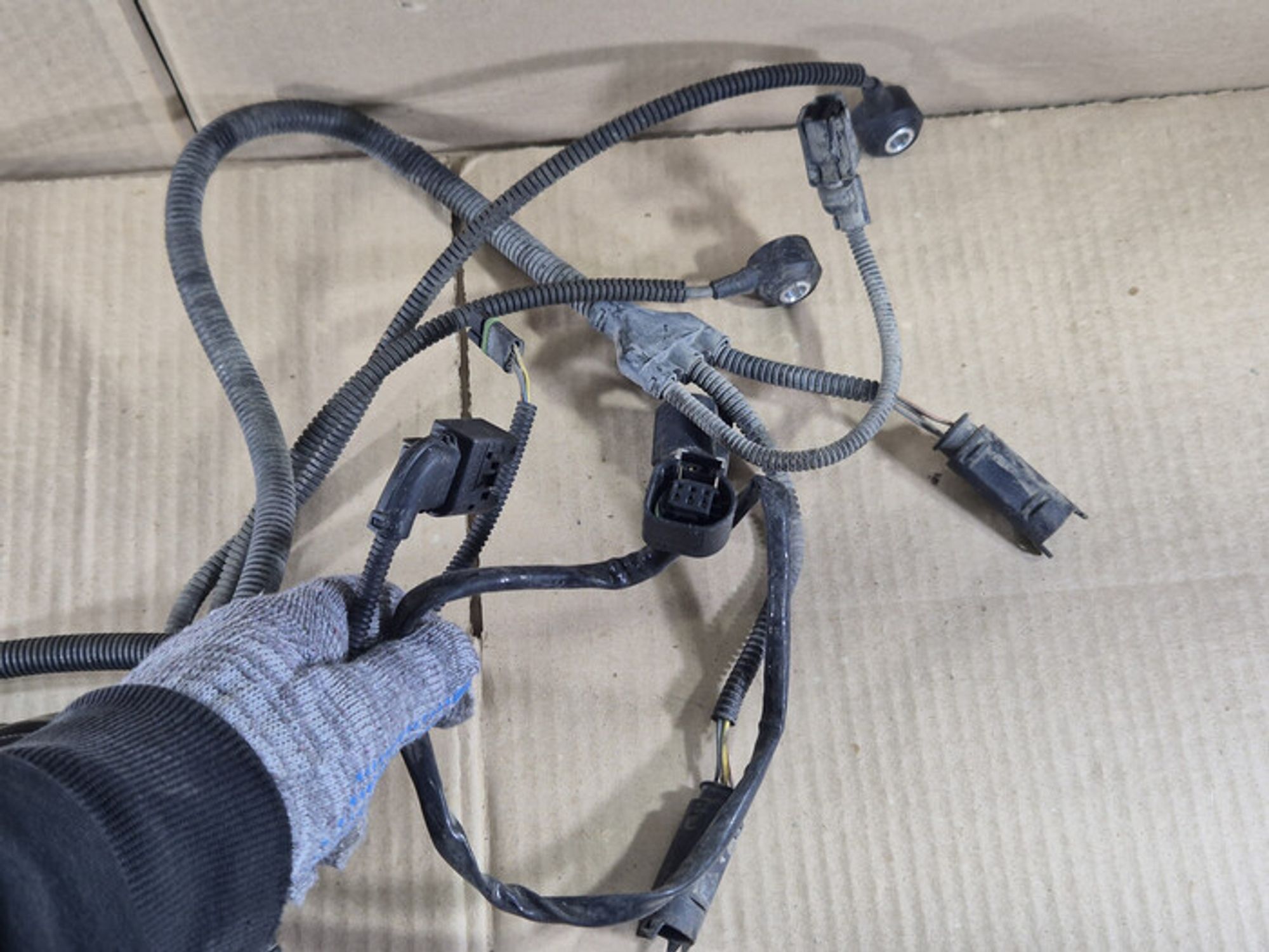 https://ycs.partsauto.market/partsauto-images/thmbs/78ee0fb3787e2dce013ed29fc8a1120c/666fd1636d3f5f1e22ba28423259c5d5/99d7b19e38893923a1090f352be2a798.jpg