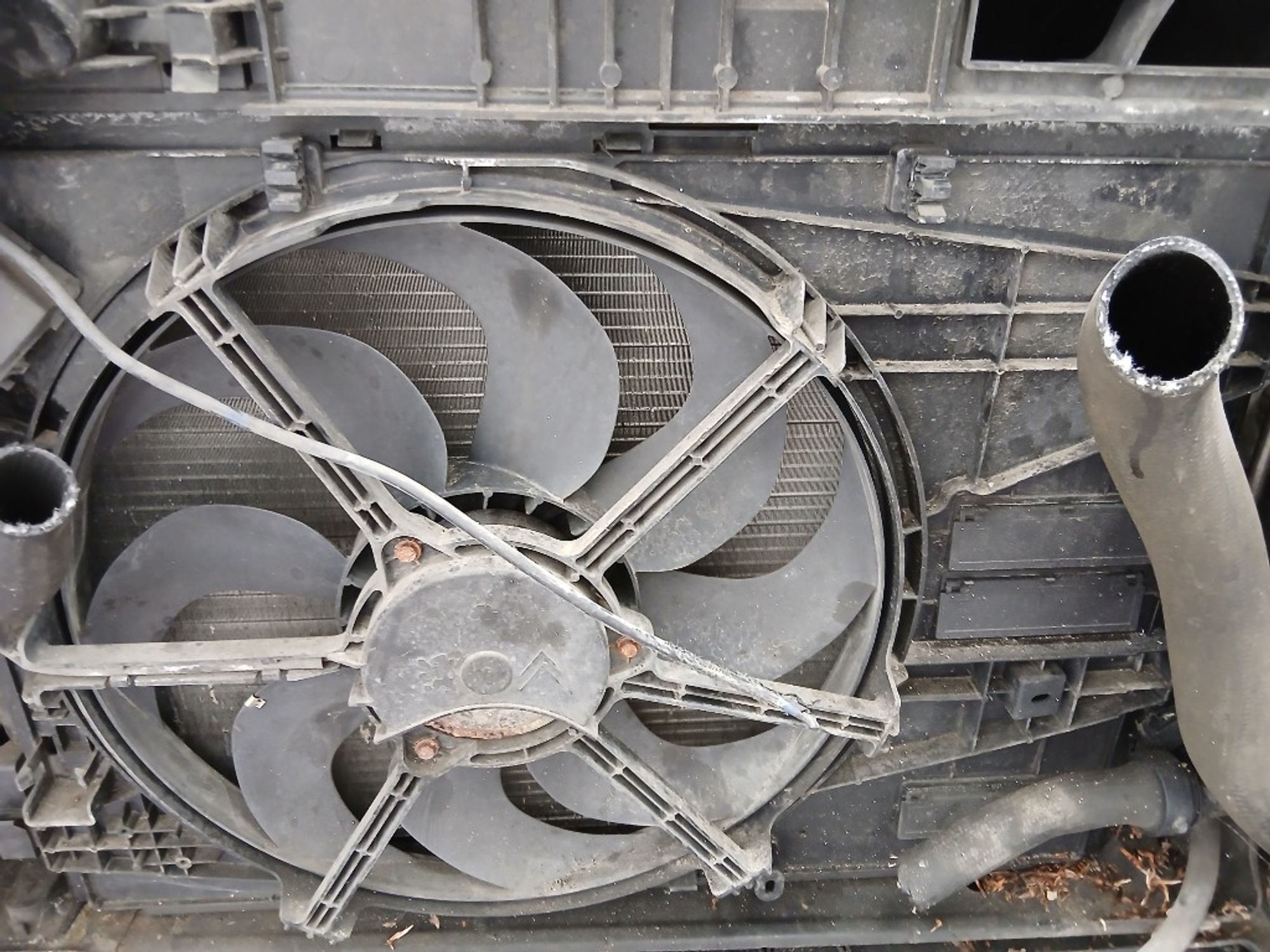 Ноускат (Nose Cut) Citroen Berlingo 7401PW, 200000 рублей, Москва