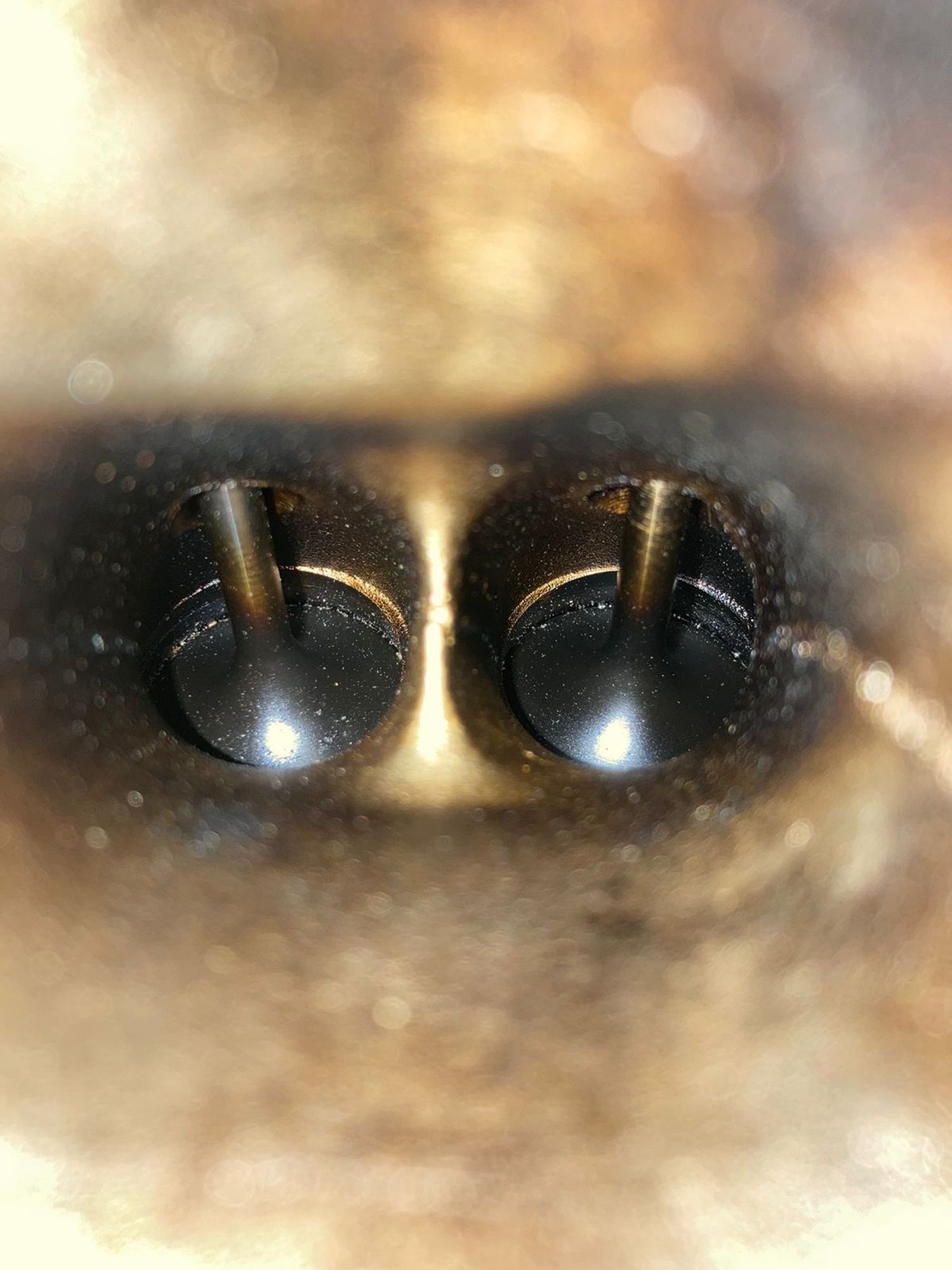 https://ycs.partsauto.market/partsauto-images/thmbs/b135e93f2d106a11df5e4386431c5e55/f493b19930423bde3dae762a7ed4e3cc/9cfebcc735a1c755b1d94375e14891df.jpg