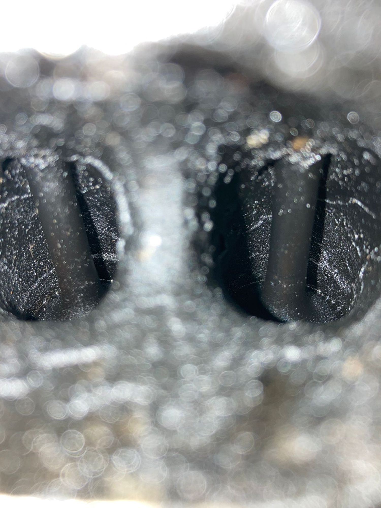 https://ycs.partsauto.market/partsauto-images/thmbs/b135e93f2d106a11df5e4386431c5e55/f493b19930423bde3dae762a7ed4e3cc/c231e2f80f7e308042ee9197d908e76b.jpg