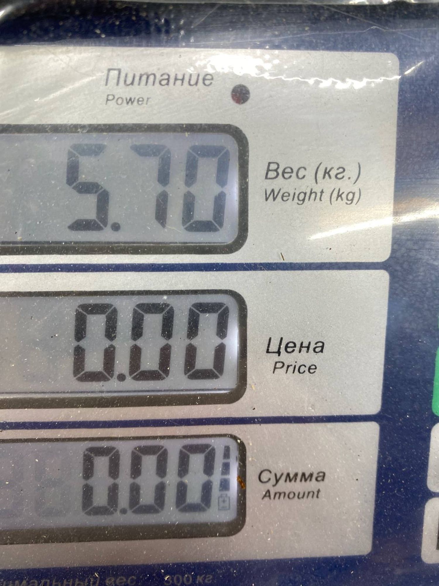 Б/У петля крышки багажника задний правый Nissan, 1520 рублей, Краснодар