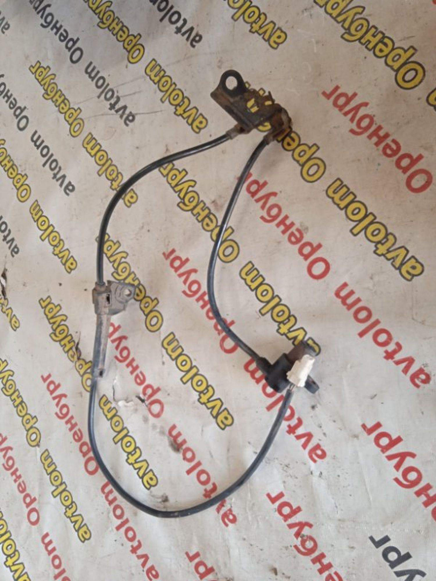 https://ycs.partsauto.market/partsauto-images/thmbs/d8fcbf2cf753f6ca7cee82516f7261b4/d886f740f3a75e37a07d5ca4aaa28801/862cceb15ccb229f759a4ee662290fbd.jpg
