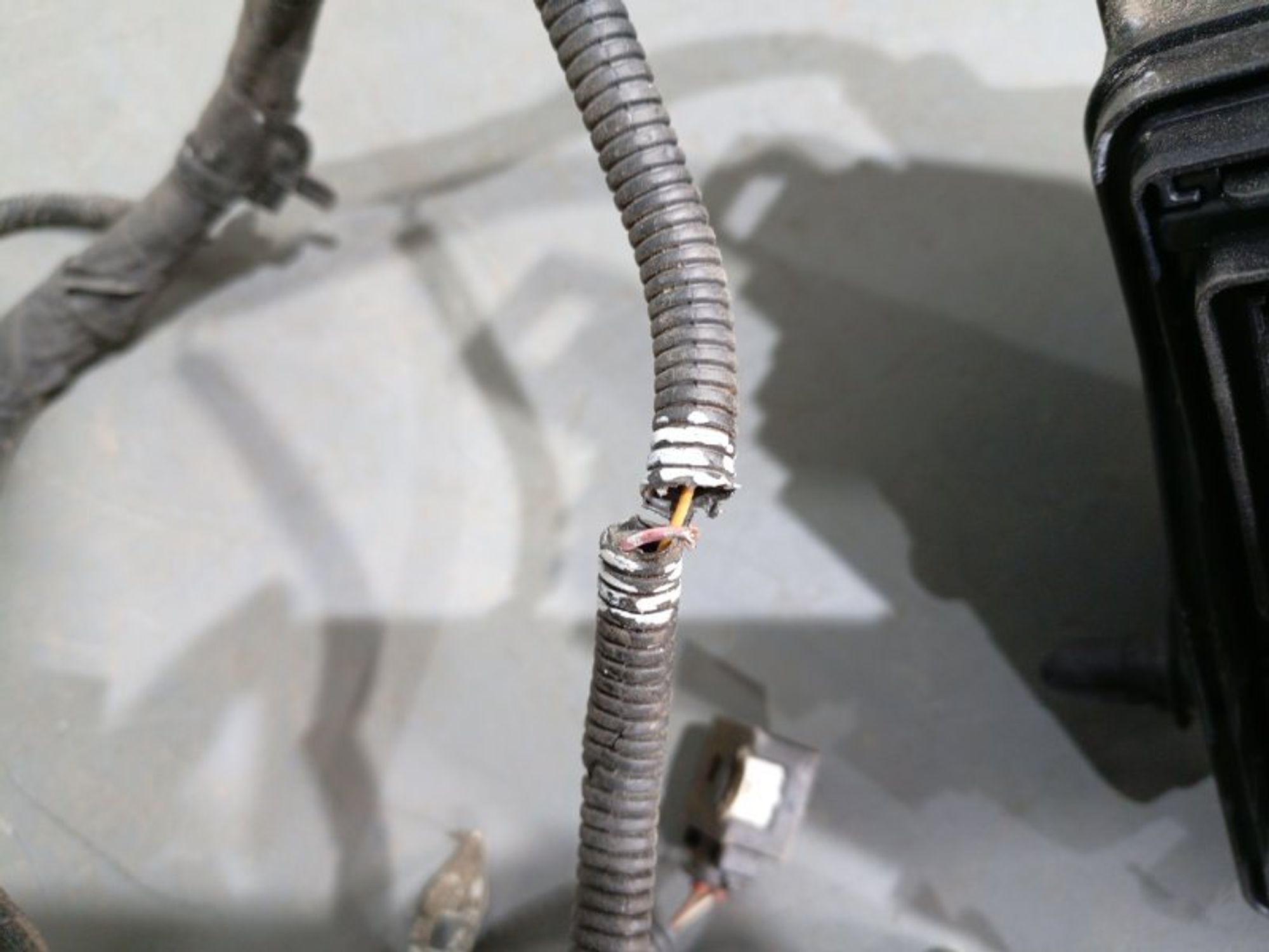https://ycs.partsauto.market/partsauto-images/thmbs/dc0eef04b6e03176379763a38d44e994/67d762f7106b94265807675bbe025fa9/fa509621535c89768740a1a86ccdfc0e.jpg
