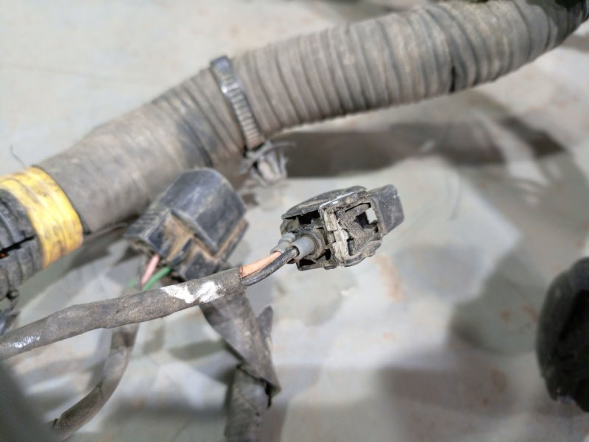 https://ycs.partsauto.market/partsauto-images/thmbs/dc0eef04b6e03176379763a38d44e994/afdbd94ebd4097524300486c03e928ba/fa9806d5bc8dbfb150a65d6f8fa74366.jpg