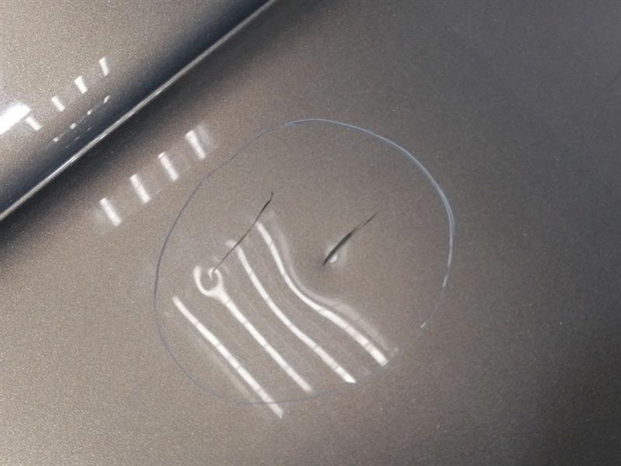 капот Bentley CONTINENTAL GT 18-24, 500000 рублей, Москва