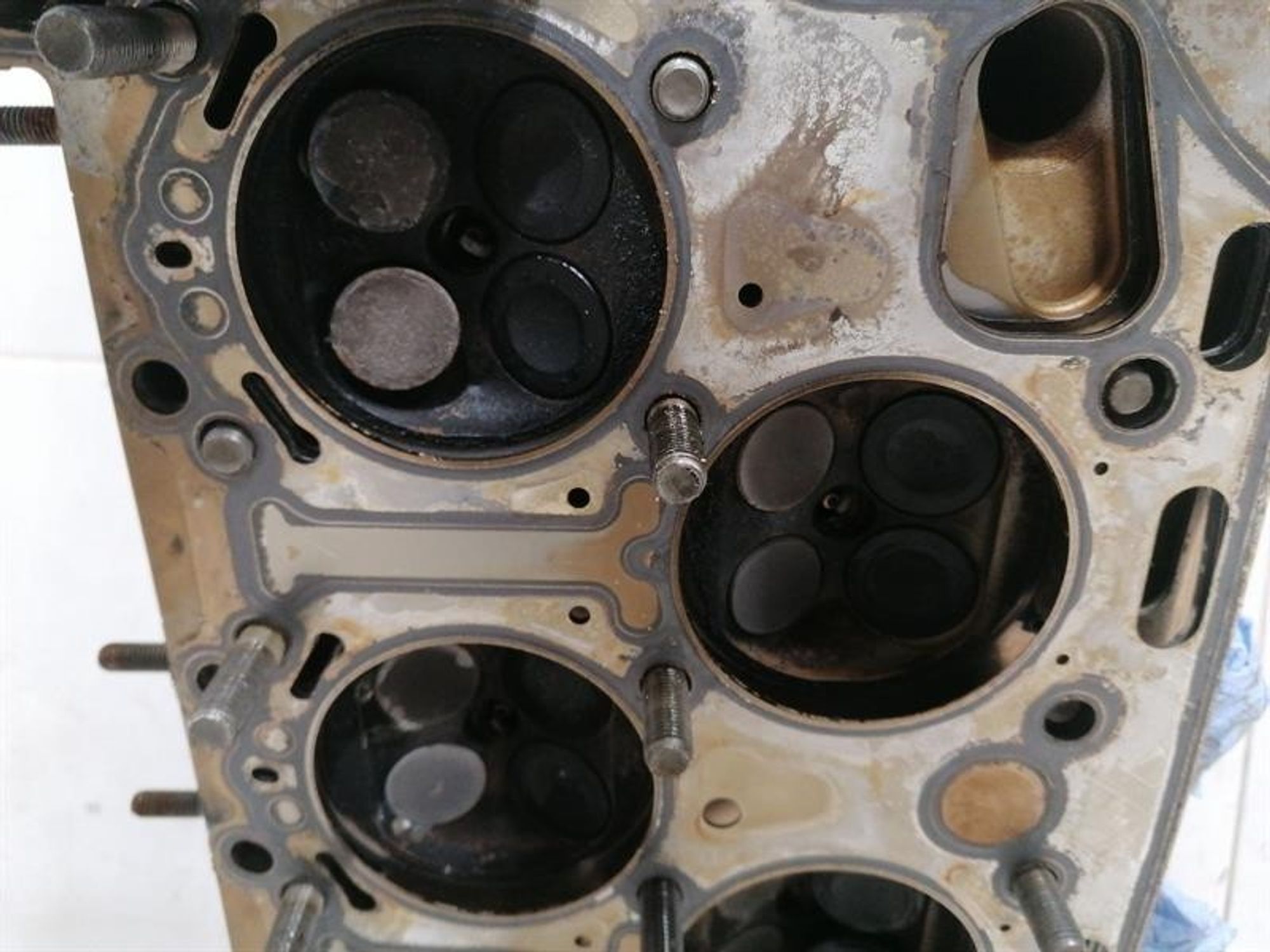 https://ycs.partsauto.market/partsauto-images/thmbs/h353NjtZg3VDP19b5HMt7LlpbQ93/58a176ba7adbd8d60ca0cb96cfdd7d30/7a7354d7408424a04d7cb8e6d8afbbab.jpg