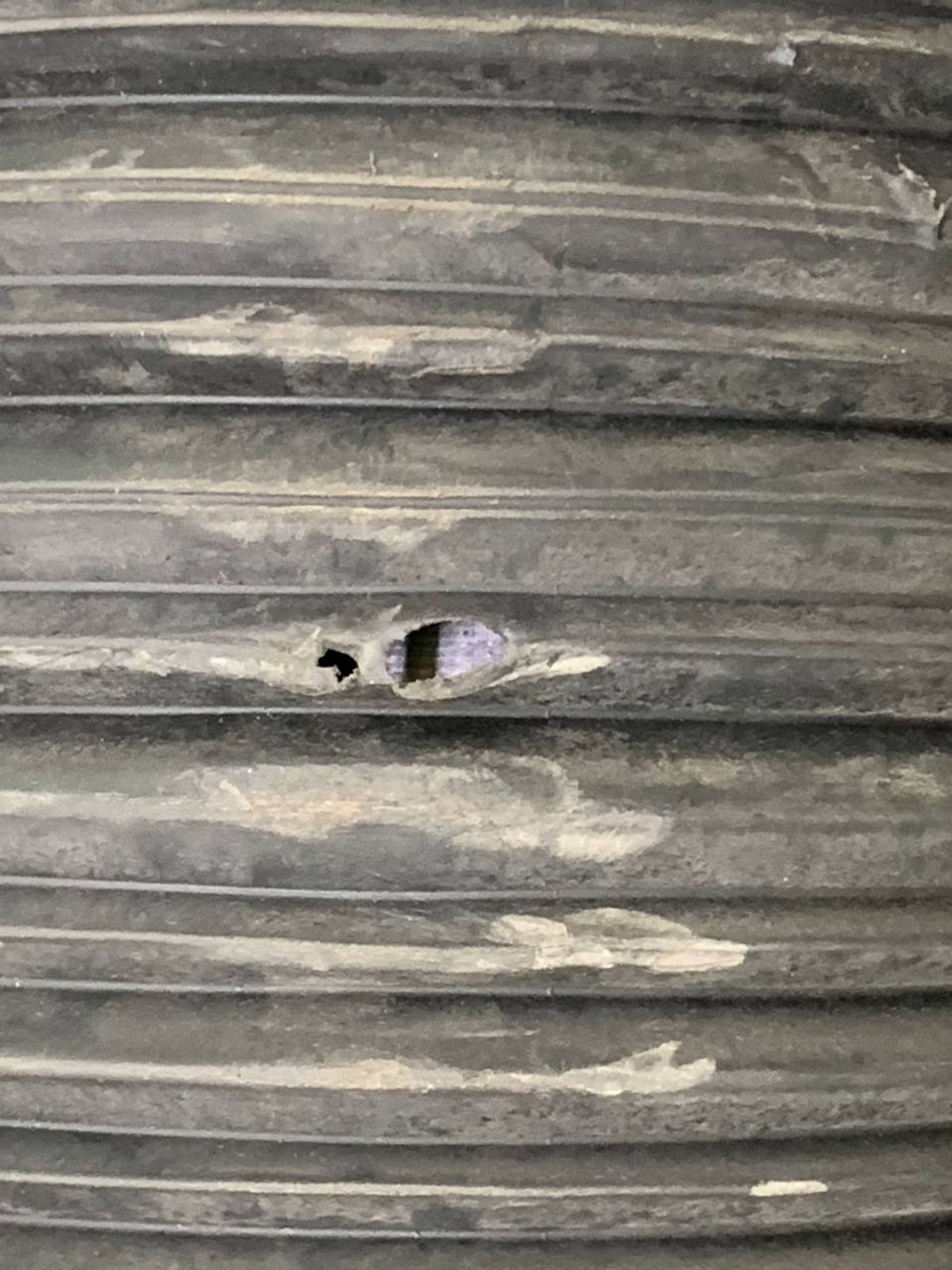 Амортизатор задний BMW 7 G11, 25000 рублей, Москва