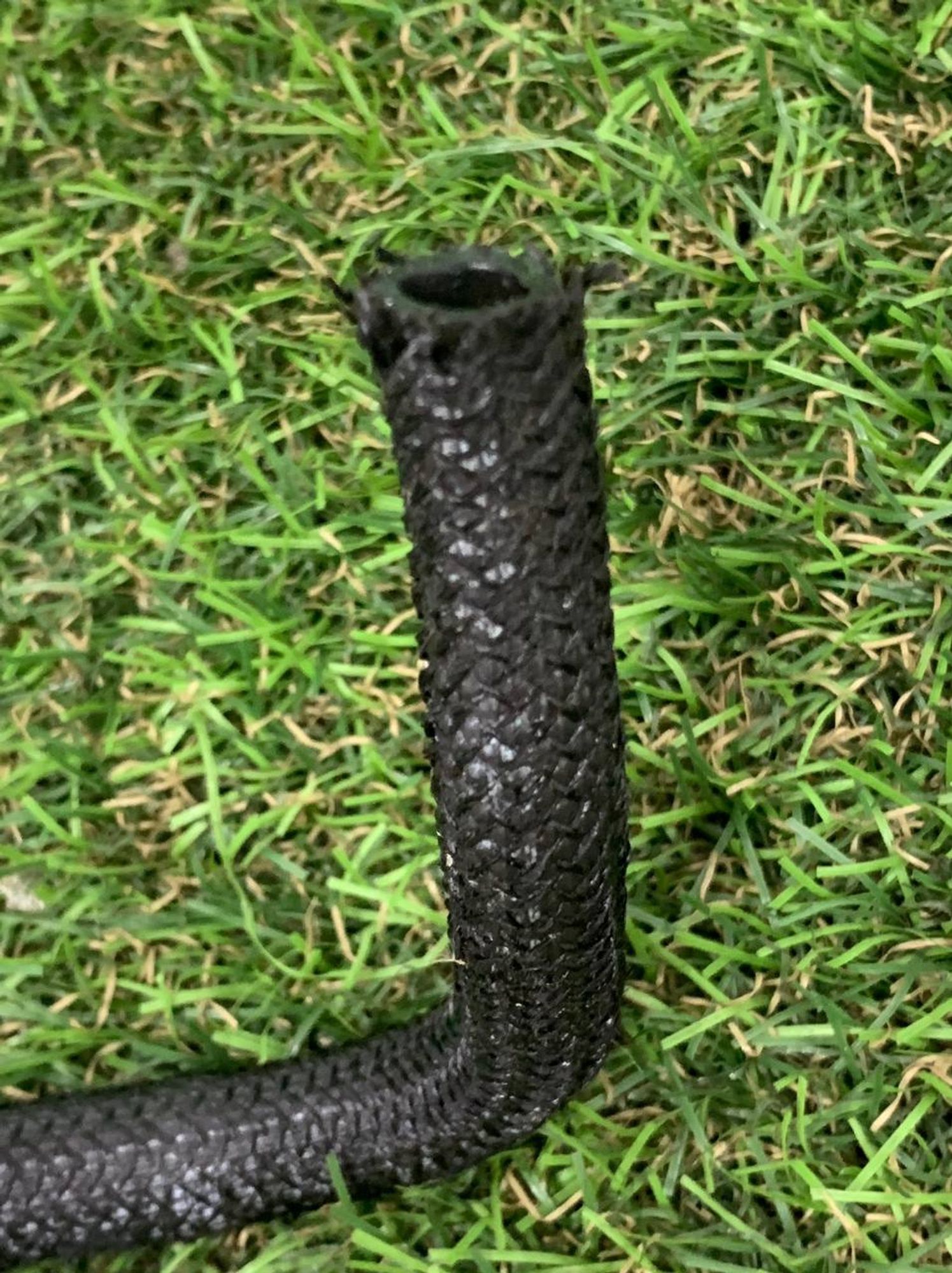 Трубка охлаждающей жидкости BMW M5 F90, 2500 рублей, Москва