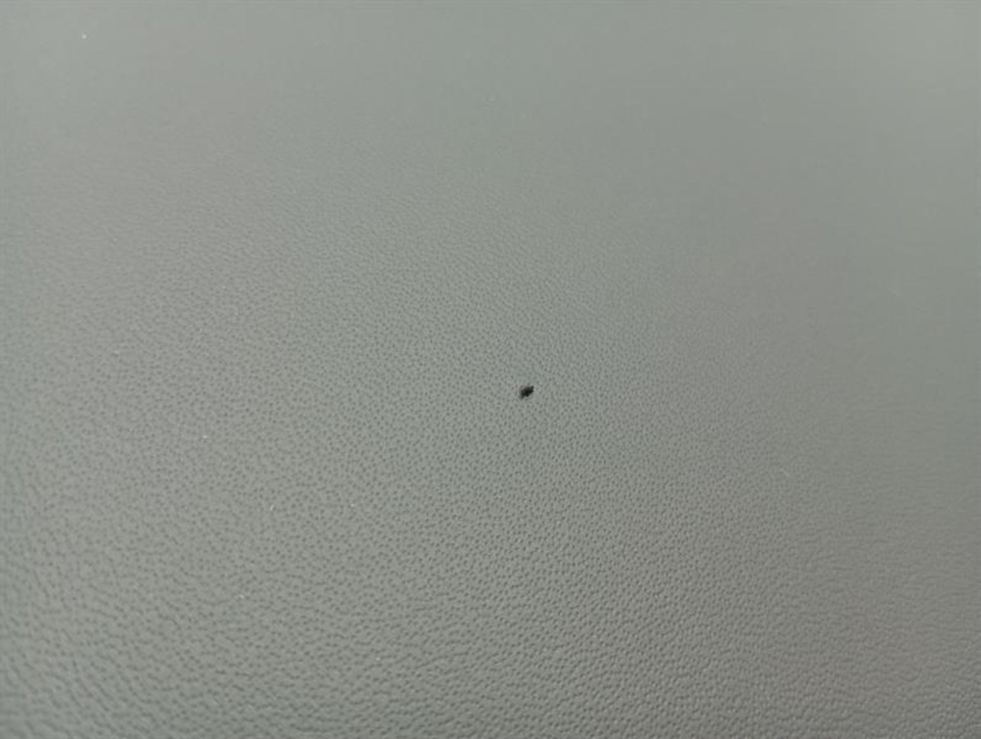 Ferrari Purosangue F175 Parcel Shelf 807561 Parcel Shelf Alcantara Leather, 330000 рублей, Москва