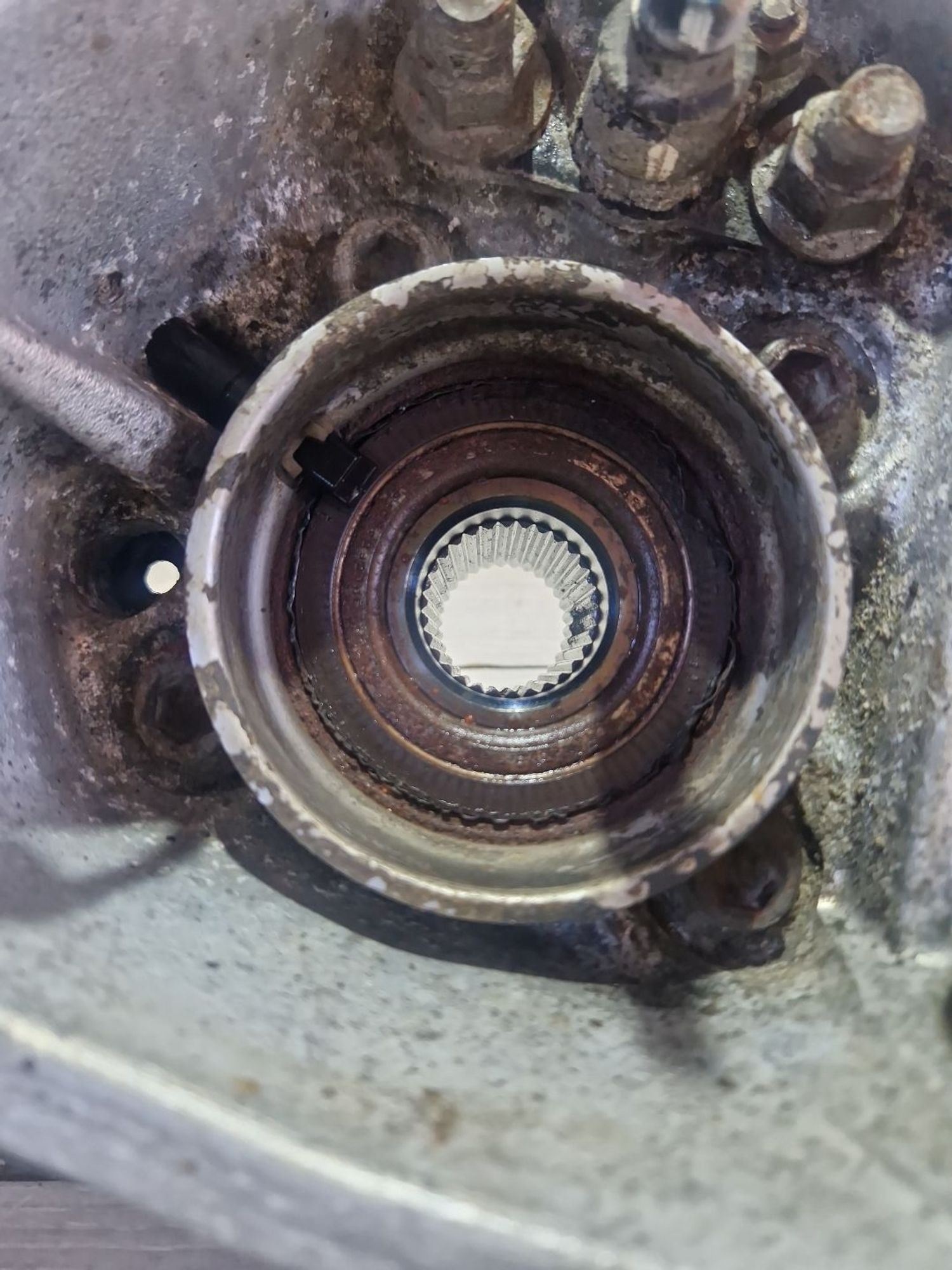 https://ycs.partsauto.market/partsauto-images/thmbs/userImages/0d5a73f363ec19ea8b7d8d6483ce4211/part/c45d809f-adf5-4738-9bbe-33c044427867_1786962540508.jpg