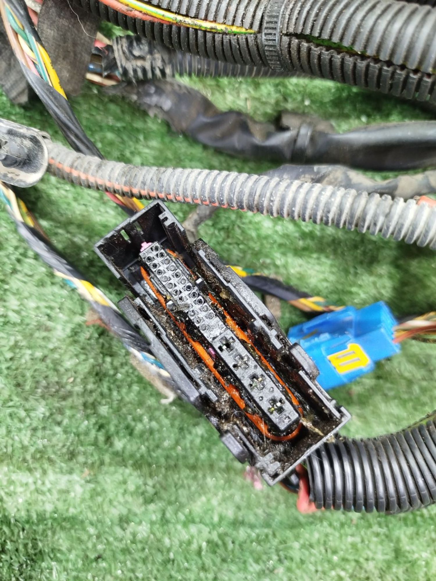 https://ycs.partsauto.market/partsauto-images/thmbs/userImages/2083c2a62fd034e59038f15de4c6b061/part/c116b657-2601-43f5-88fd-47f207dc00b4_1779093347877.jpg
