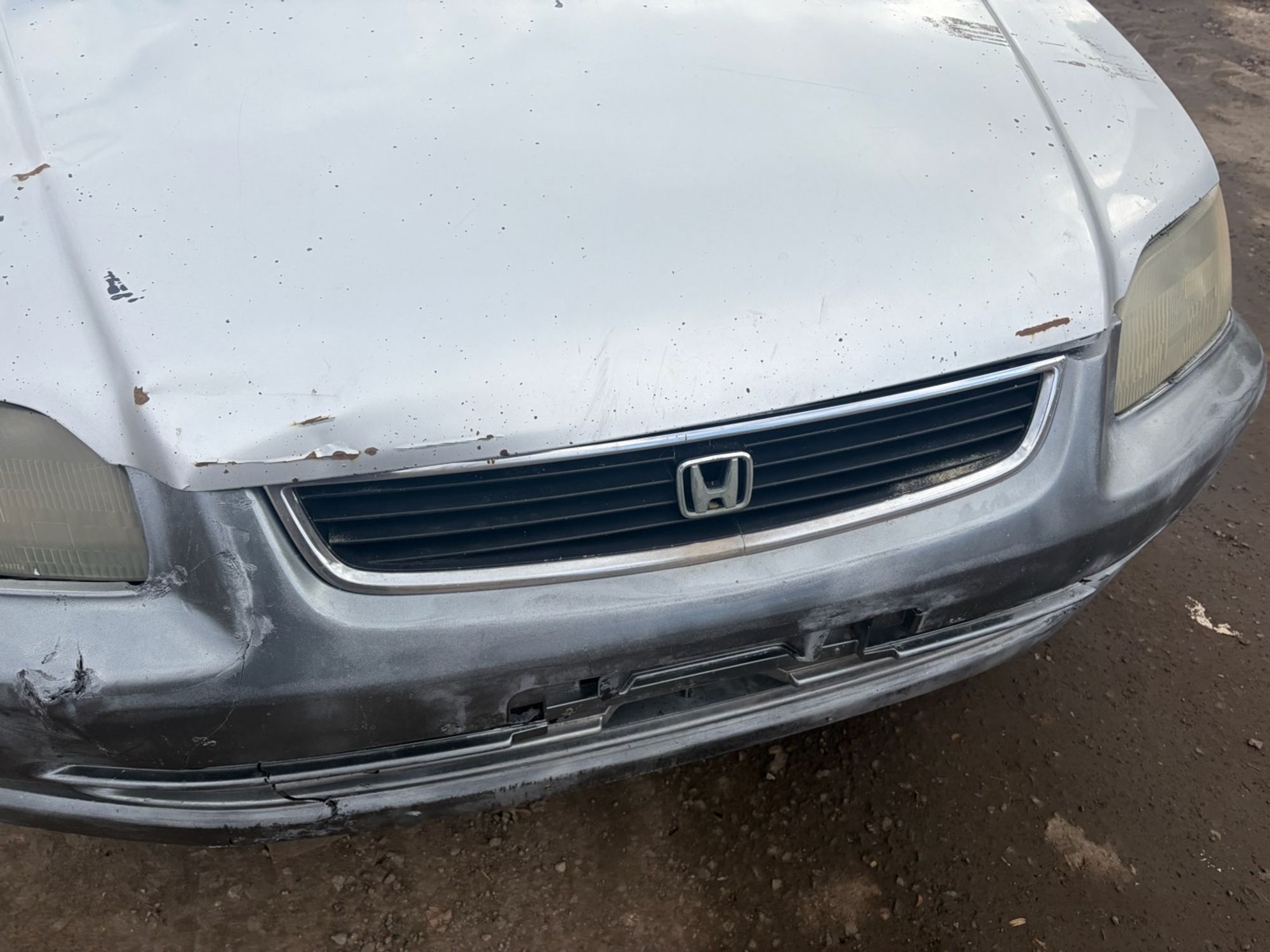 https://ycs.partsauto.market/partsauto-images/thmbs/userImages/42b2dd1a52f865adec582775ae07ad9c/car/dfb805ab-34ff-40ac-9305-2c8896990aab_1780760069909.jpg