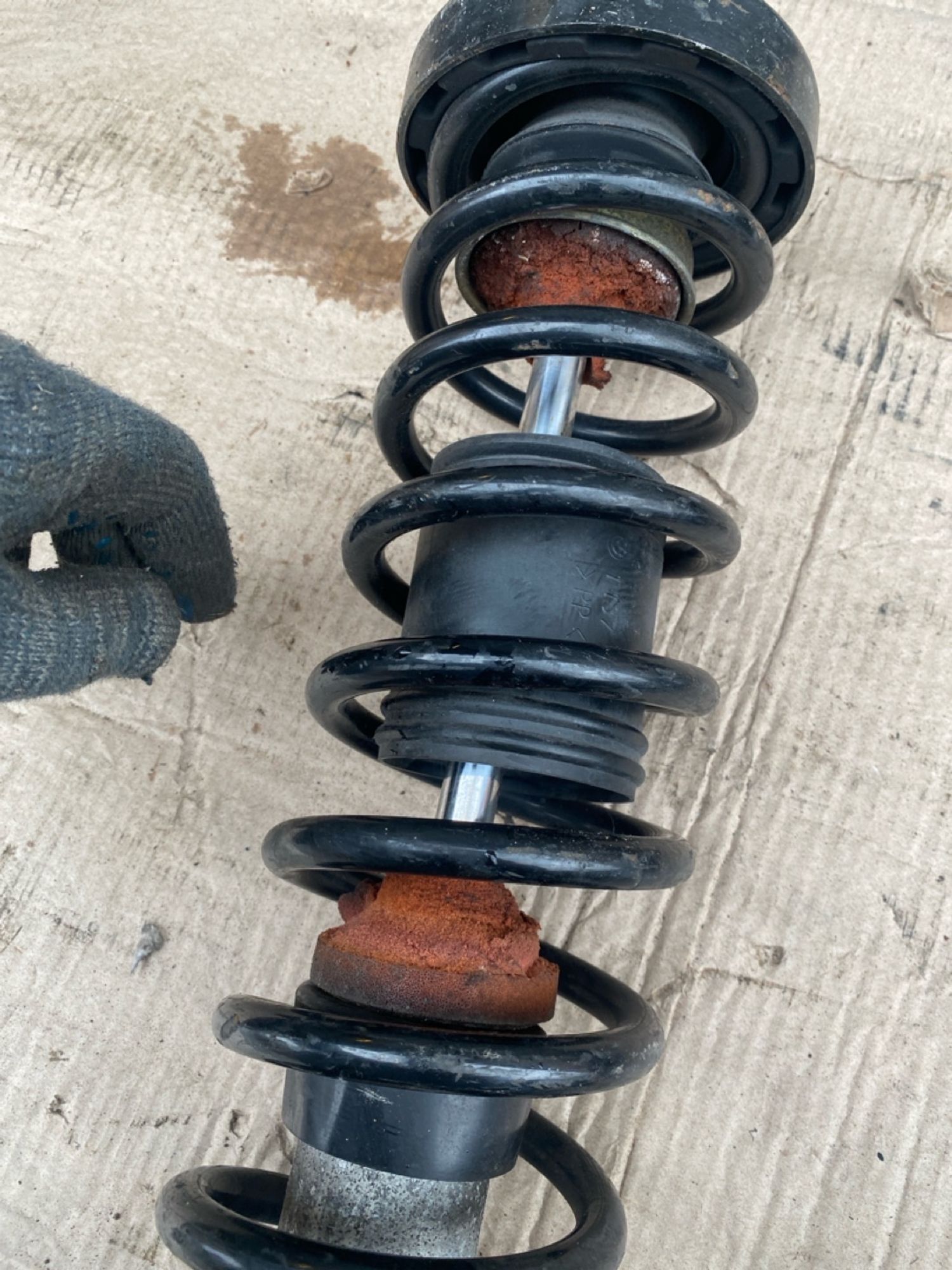 Амортизатор задний BMW 5 серия E39 2000г, 6500 рублей, Москва