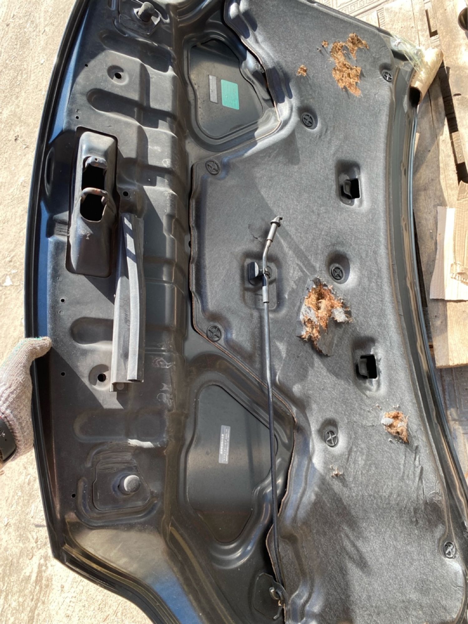 https://ycs.partsauto.market/partsauto-images/thmbs/userImages/4bc412e58a1c6cab6d9447373f981aa7/part/db6e2cf2-e020-415d-9c32-e1160348c091_1784051809363.jpg