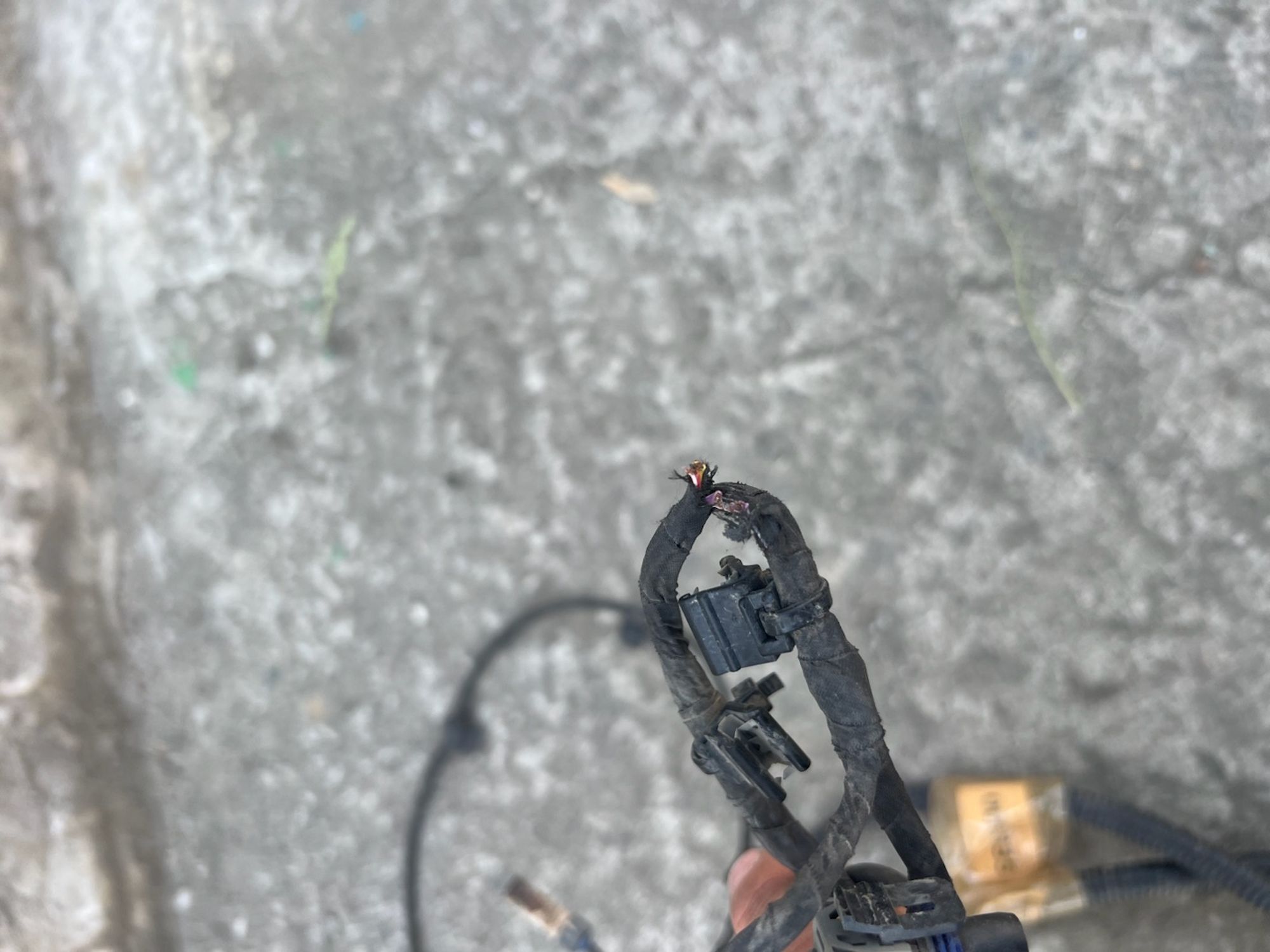 https://ycs.partsauto.market/partsauto-images/thmbs/userImages/74b999aff9da8d5a09f9ff26dc196135/part/66f77aad-bf69-4848-bfec-9ed0e5cc46f6_1779174379294.jpg
