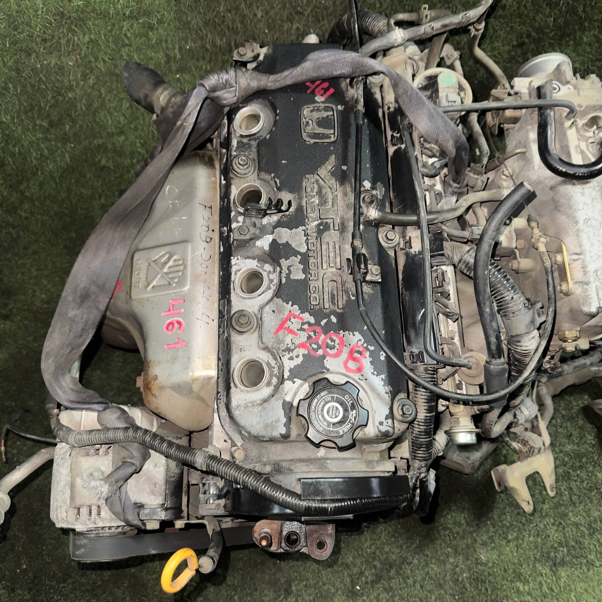 461 Двигатель HONDA TORNEO CL3 F20B, 180000 рублей, Невинномысск