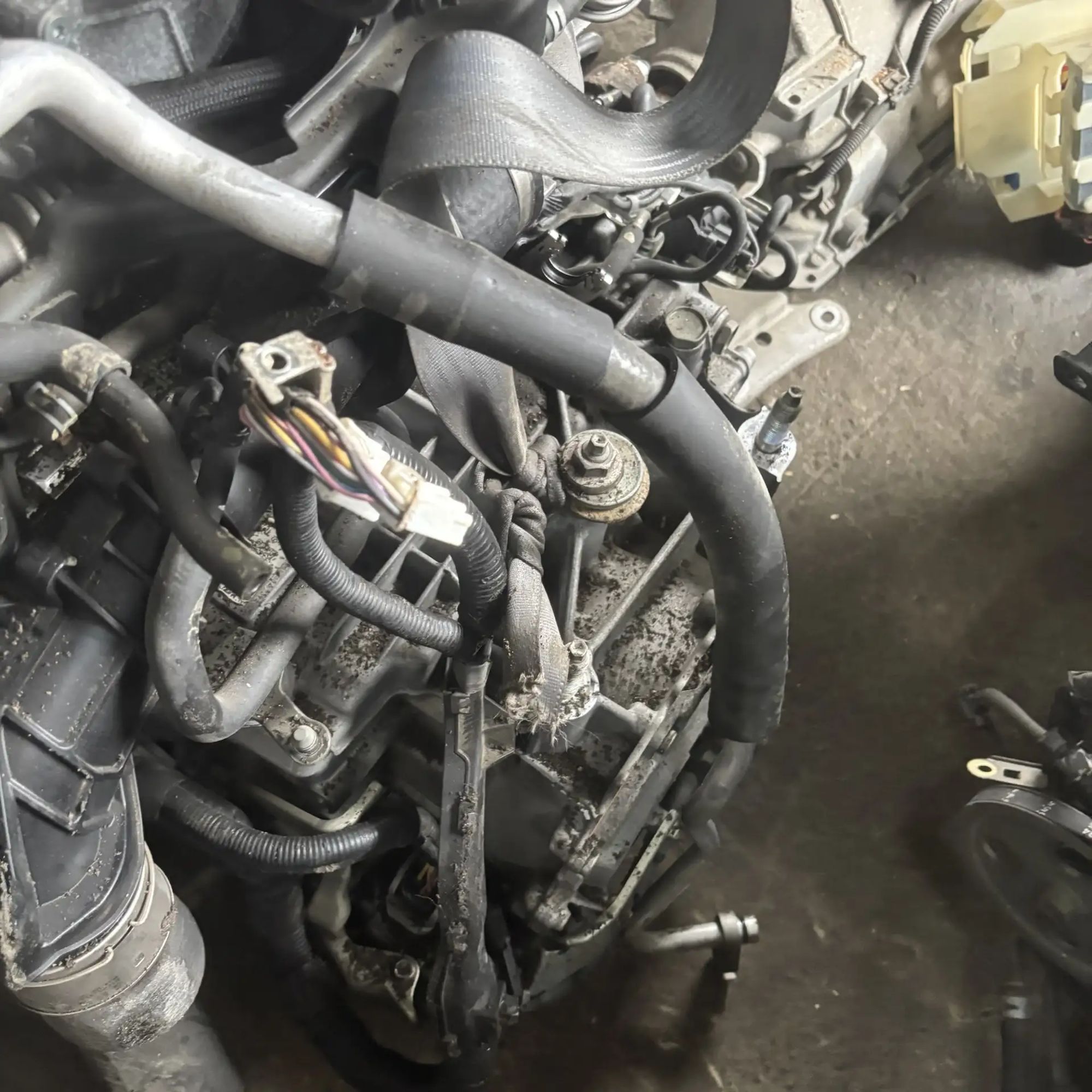 https://ycs.partsauto.market/partsauto-images/thmbs/userImages/772e461030aea93f4dbb6447c0f924d3/part/833d88ea-781d-4c32-8d8b-7bb2b05d563c_1778846041360.jpg