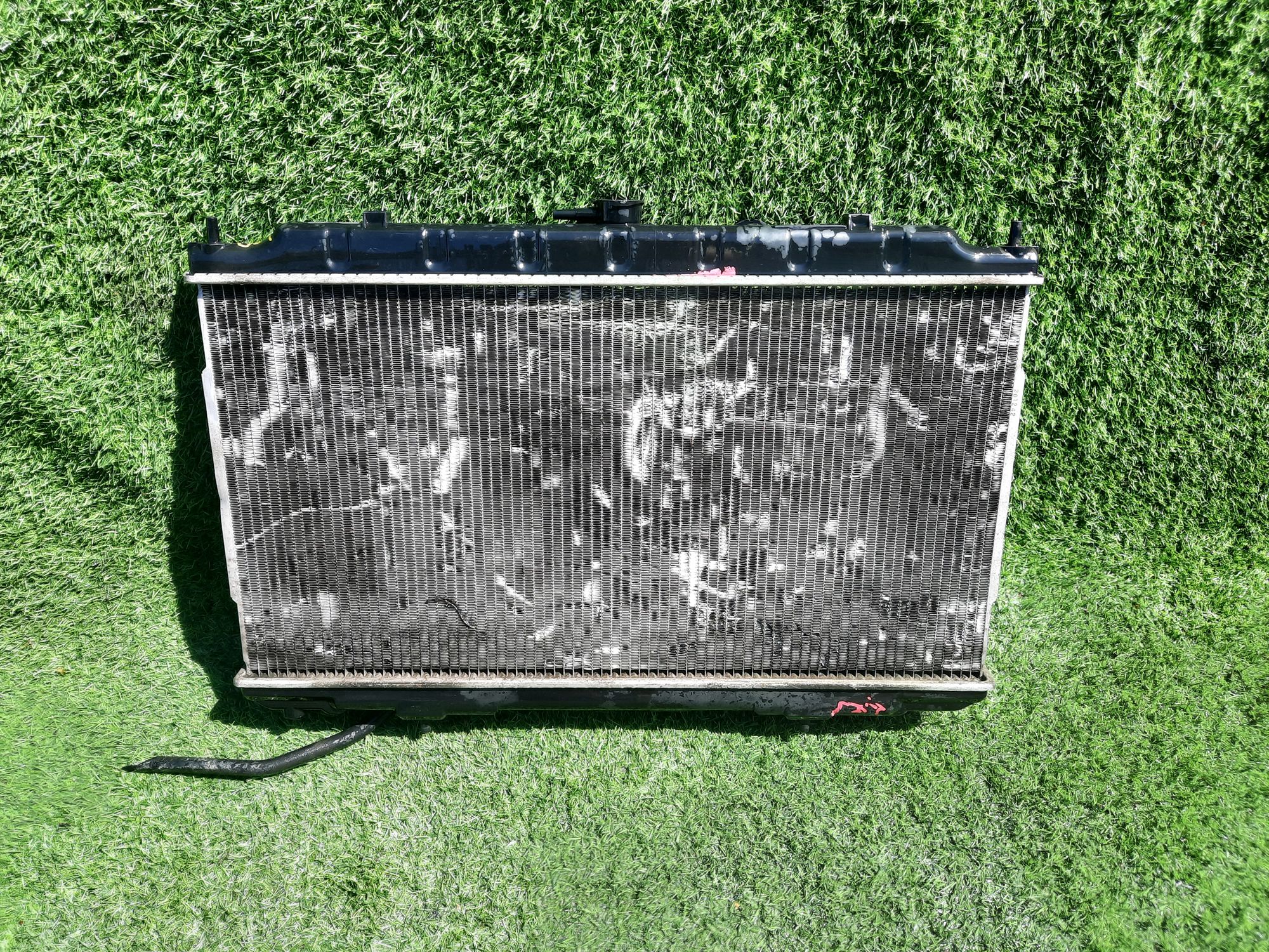 301 радиатор охлажд двс  NIS BLUEBIRD SYLPHY FG10, 7500 рублей, Невинномысск