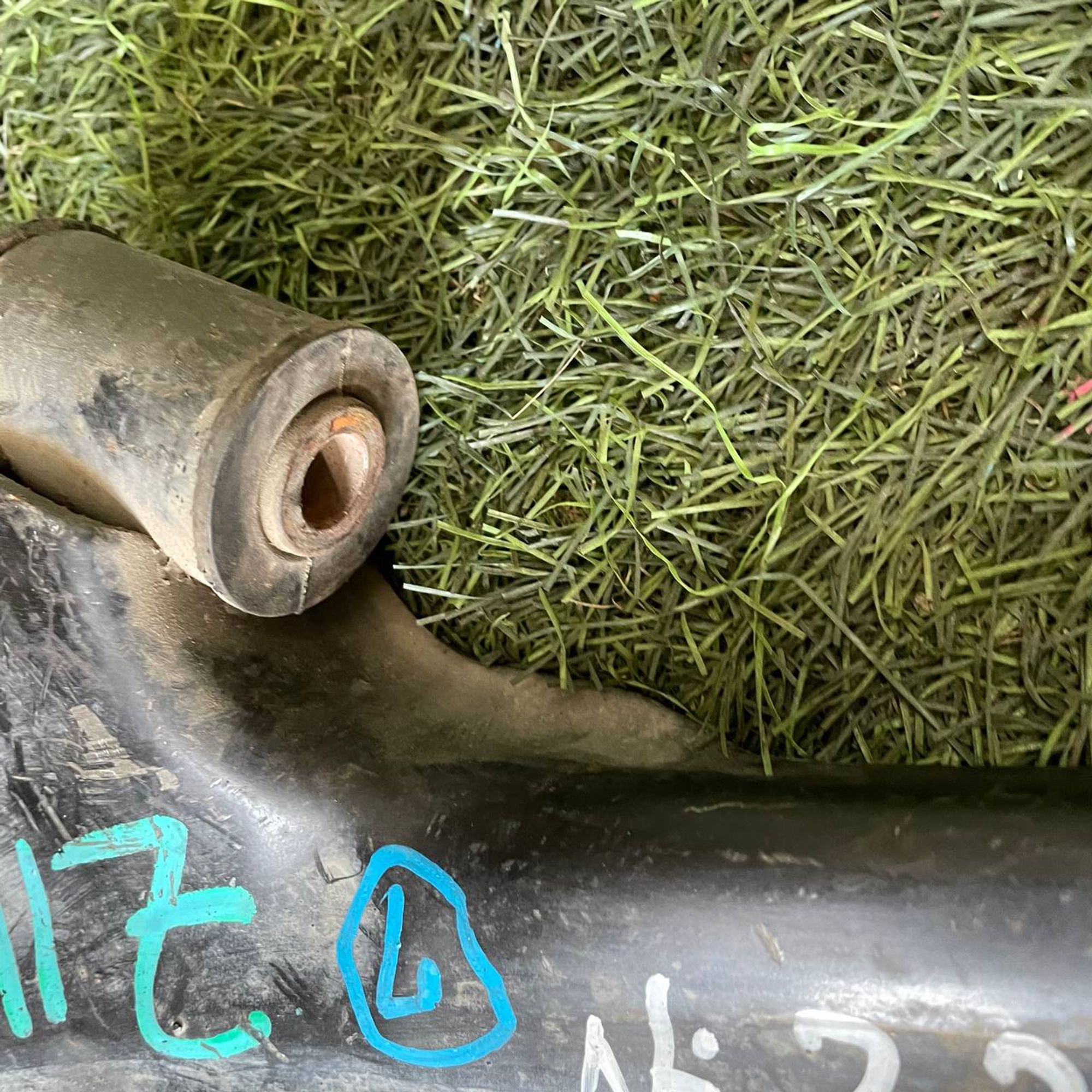 226 Рычаг передний левый нижний  NISSAN CUBE Z11, 3500 рублей, Невинномысск