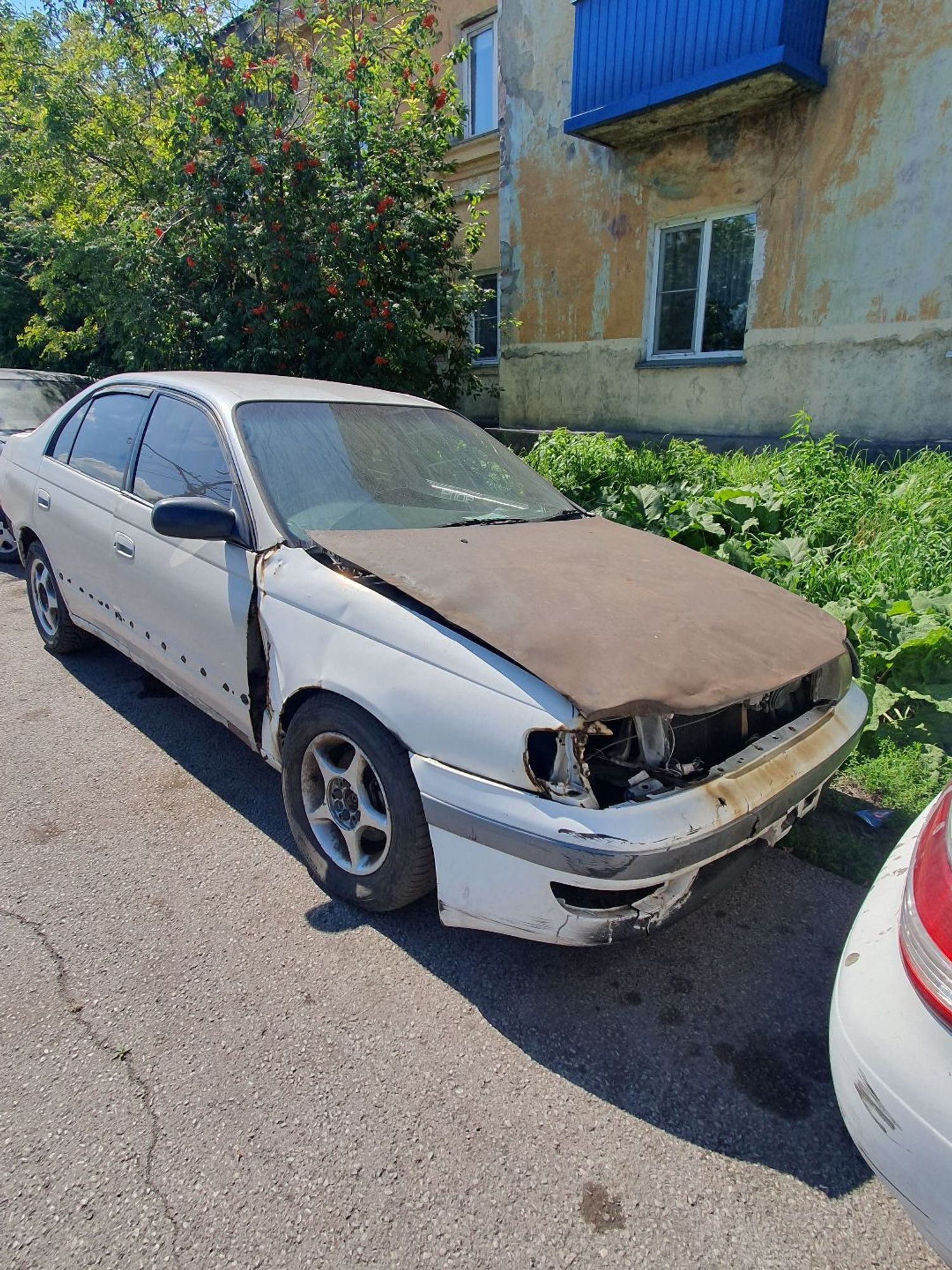 https://ycs.partsauto.market/partsauto-images/thmbs/userImages/7ed63c96fe685f431889ec34ef8f13b8/car/2bb14a40-e00d-49c5-8643-c4eecb1cb49a_1786777204404.jpg