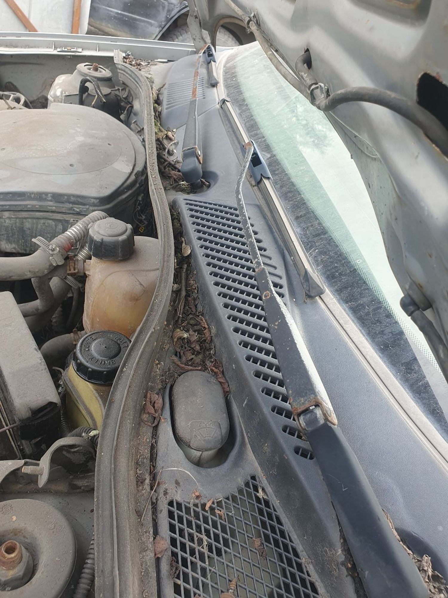 https://ycs.partsauto.market/partsauto-images/thmbs/userImages/7ed63c96fe685f431889ec34ef8f13b8/part/01b8952f-e646-4caf-be18-d6e9ceeeeb8f_1786339680702.jpg
