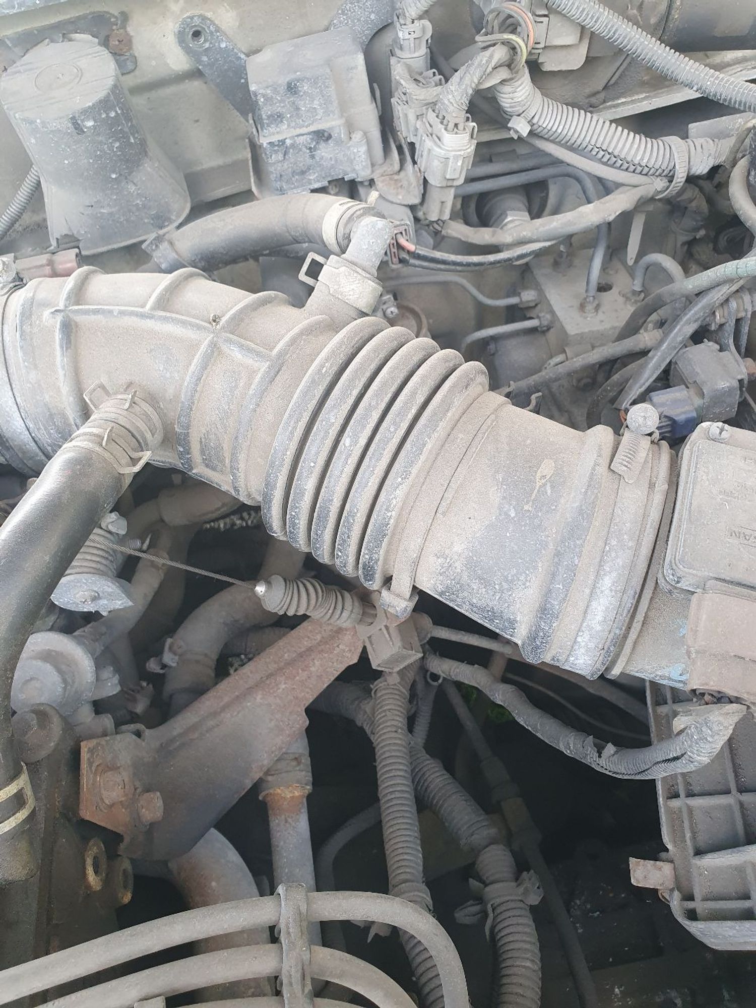 https://ycs.partsauto.market/partsauto-images/thmbs/userImages/7ed63c96fe685f431889ec34ef8f13b8/part/10005860-5d94-41b8-93fa-f76ed07e1458_1786089207030.jpg