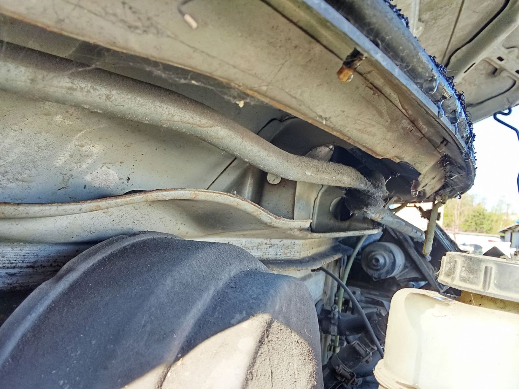 https://ycs.partsauto.market/partsauto-images/thmbs/userImages/7ed63c96fe685f431889ec34ef8f13b8/part/12618333-9cc2-4938-81ea-70540d1f2de6_1778638673625.jpg