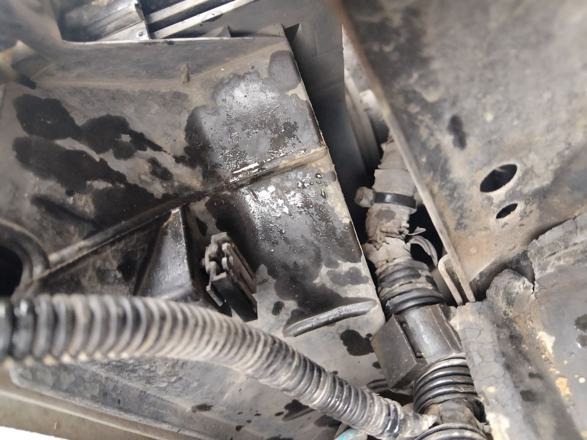 https://ycs.partsauto.market/partsauto-images/thmbs/userImages/7ed63c96fe685f431889ec34ef8f13b8/part/13d98ef7-918b-4e85-a0f0-d6d45dcae5d5_1785226209536.jpg