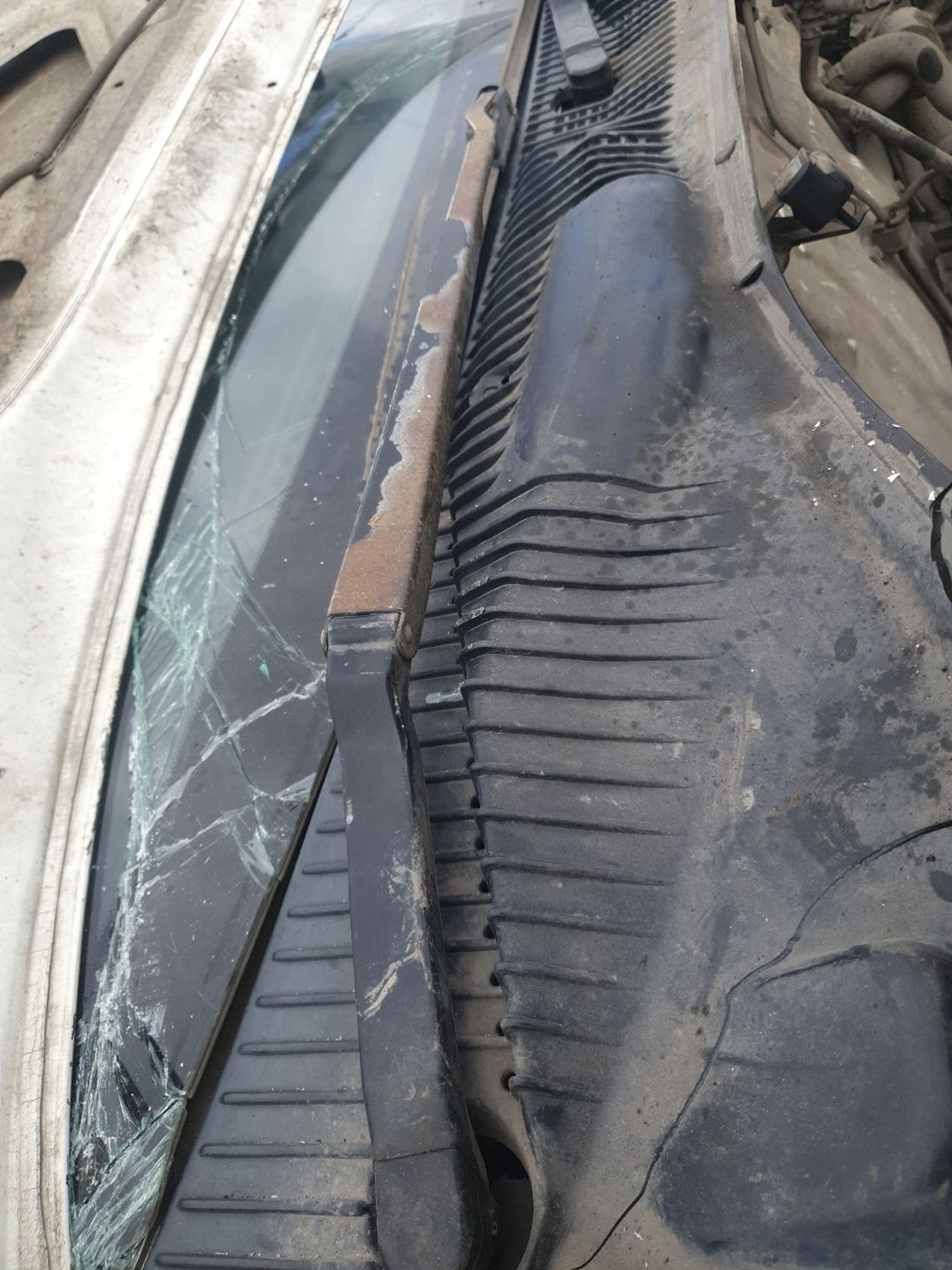 https://ycs.partsauto.market/partsauto-images/thmbs/userImages/7ed63c96fe685f431889ec34ef8f13b8/part/1dcc7c5f-09aa-43de-9b53-1d7dd78fe986_1778834368911.jpg