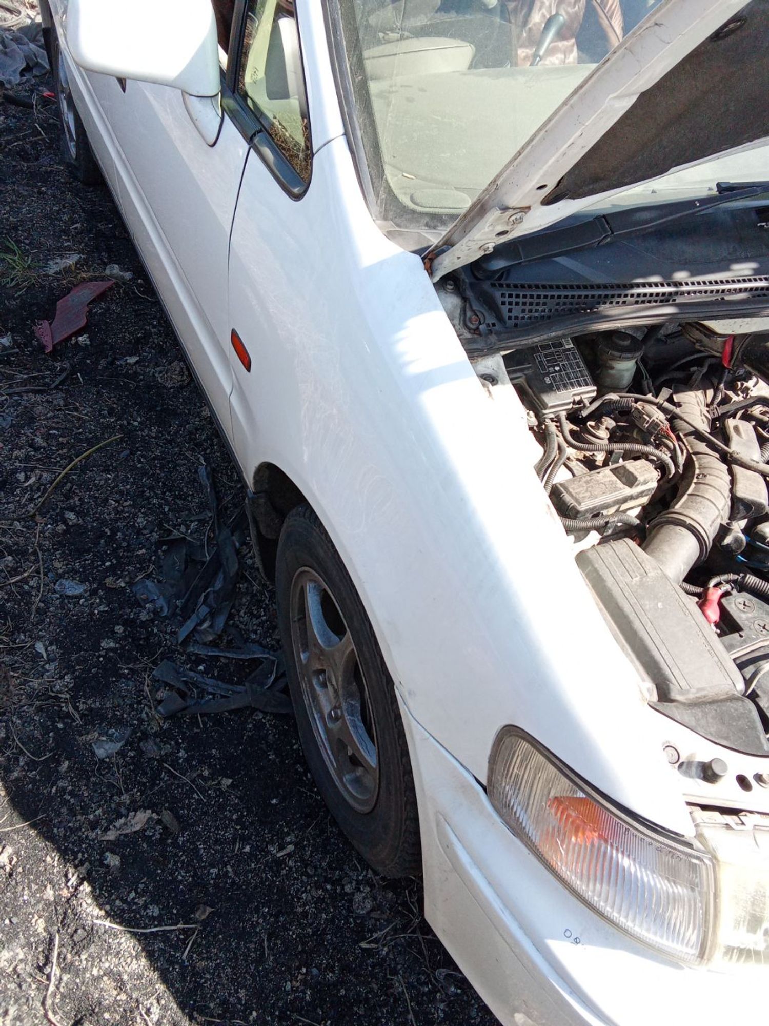 https://ycs.partsauto.market/partsauto-images/thmbs/userImages/7ed63c96fe685f431889ec34ef8f13b8/part/313920a6-6aa4-484c-ad04-f0be1df59ec5_1777693824155.jpg